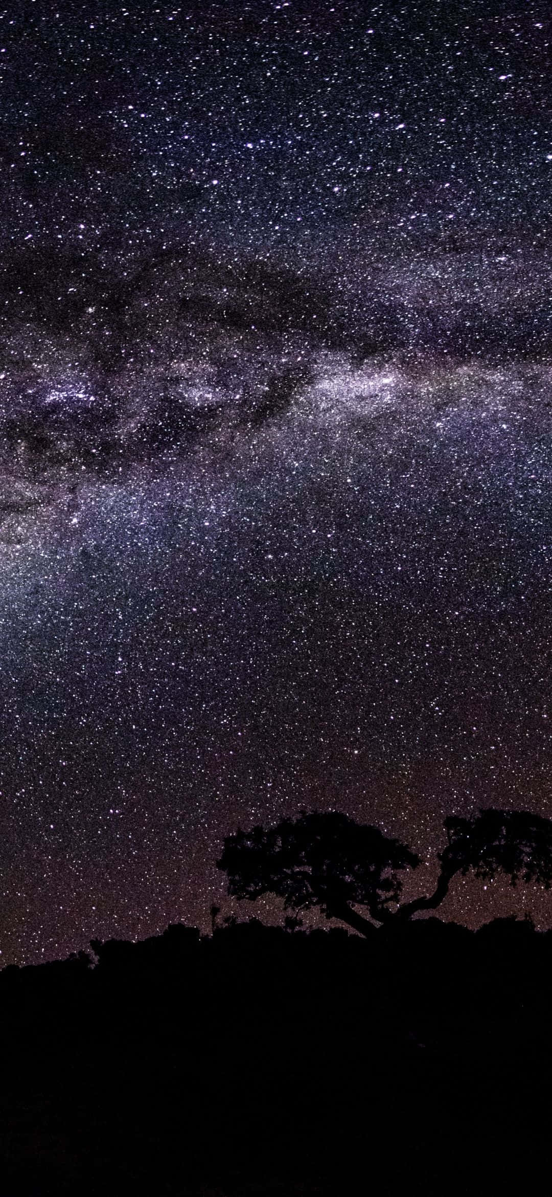 1080x2340 4K 天の川の夜空 壁紙