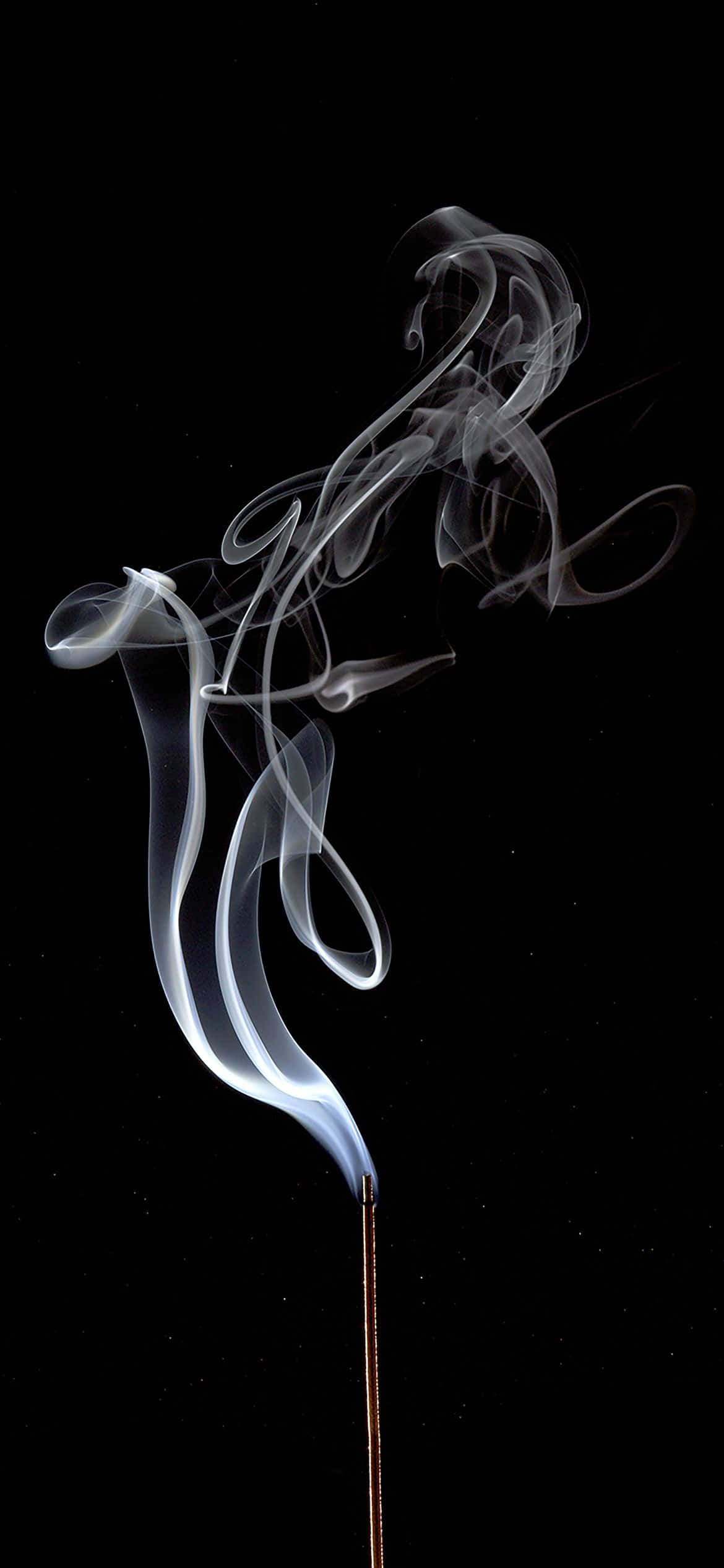 1170x2532 ホワイトスモークのクリエイティブショット 壁紙
