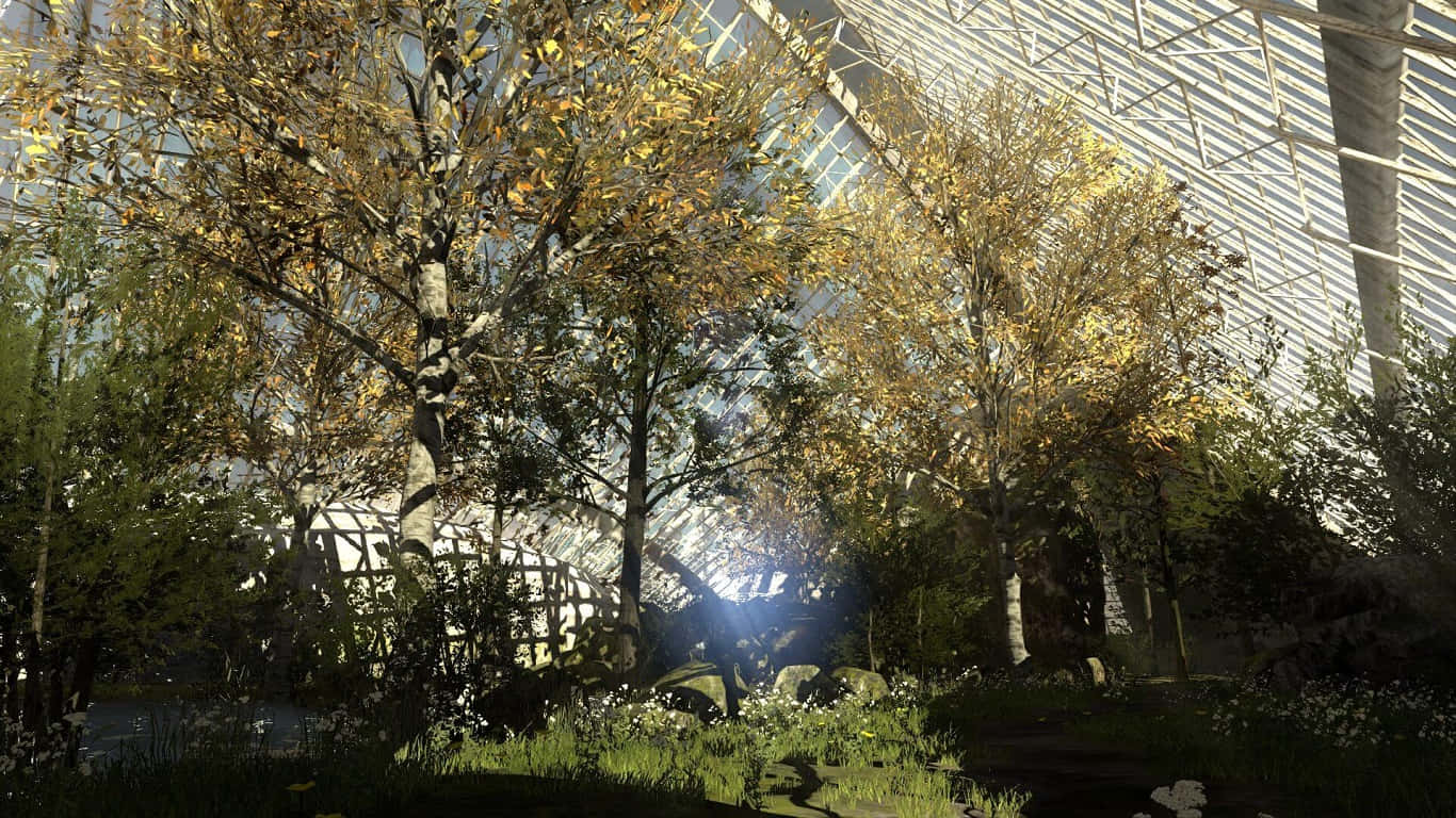 1366x768 The Talos Principle ゲヘナの森の背景 壁紙