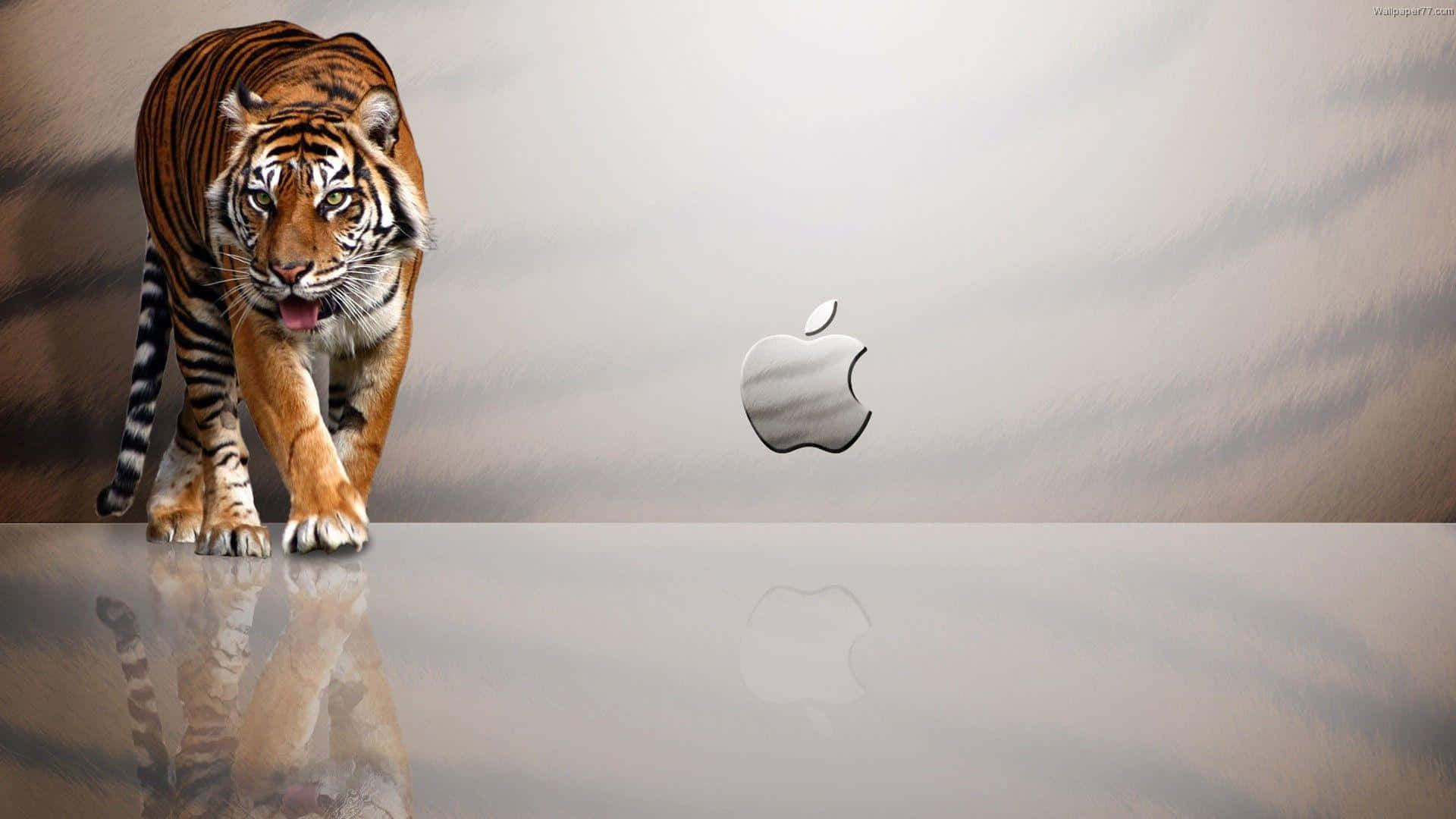 1920x1080 Apple背景 タイガーストライプ 壁紙