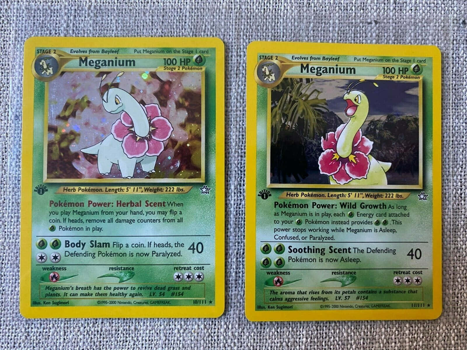 2枚のメガニウムポケモントレーディングカード 壁紙