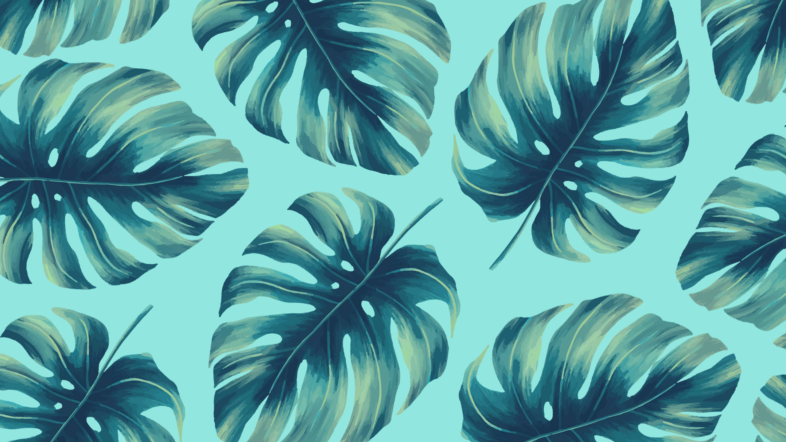 夏の植物の葉 グリーン 2560x1440 壁紙