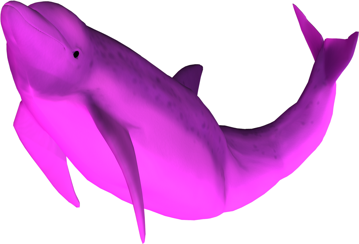 ピンク3 Dクジラモデル 壁紙