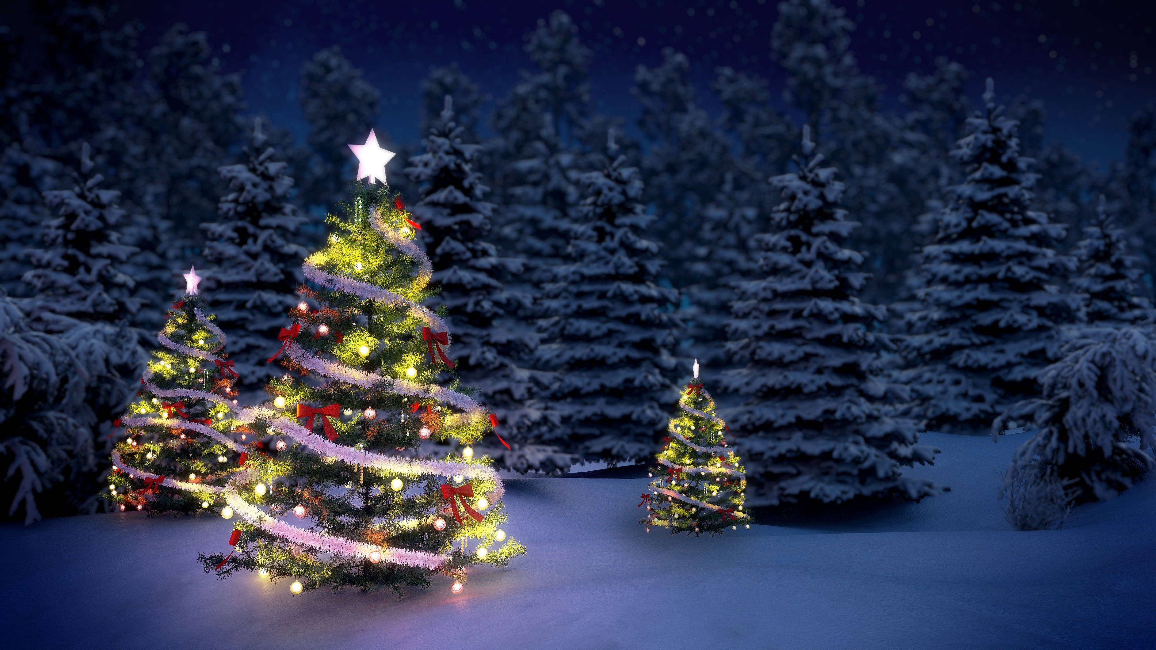 屋外に立つ美しいクリスマスツリー3本 壁紙