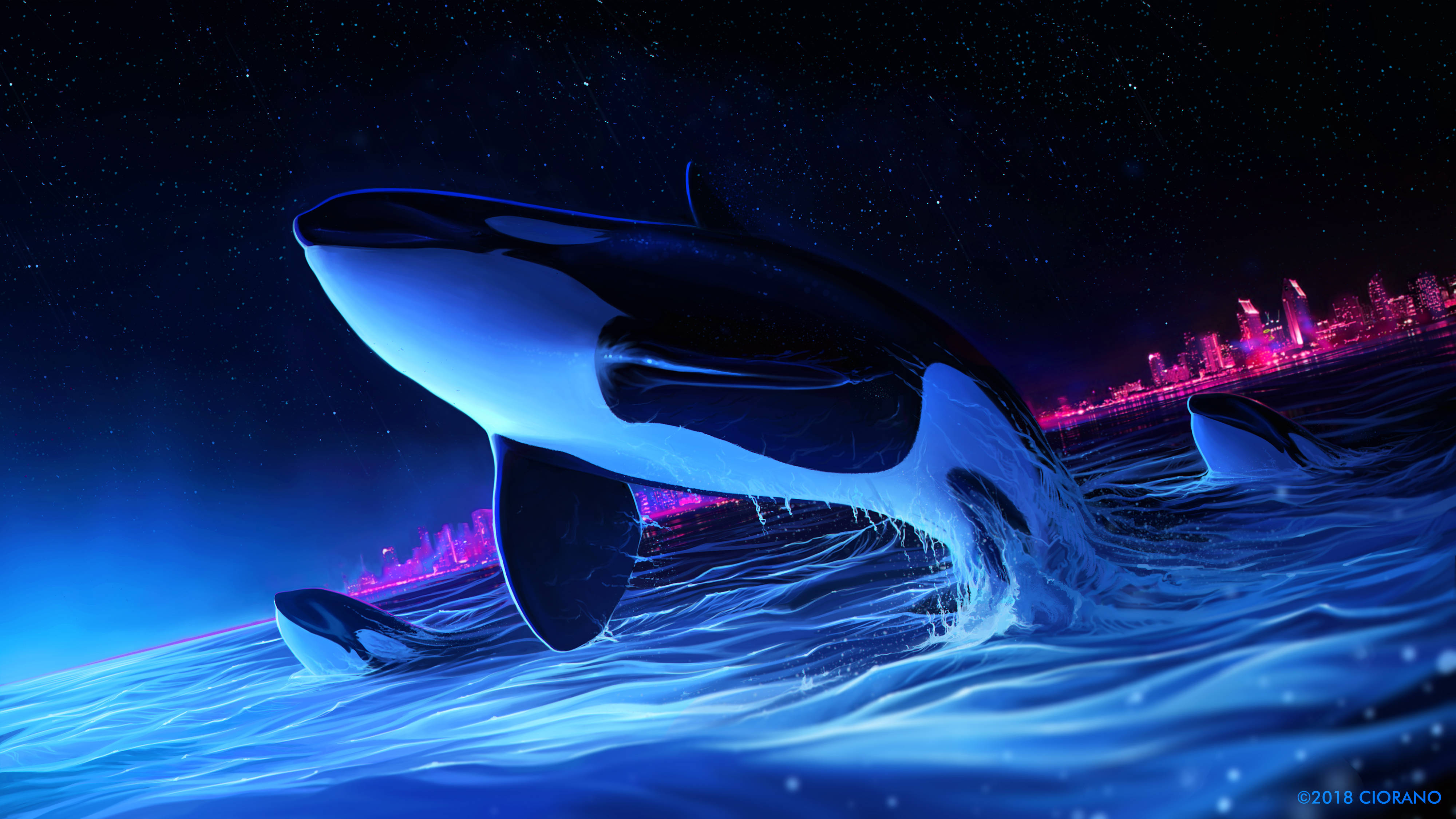 魅惑のクジラ飛翔ダーク4K 壁紙