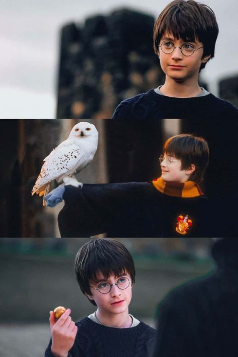 内なる魔法を受け入れよう！#AestheticHarryPotter 壁紙