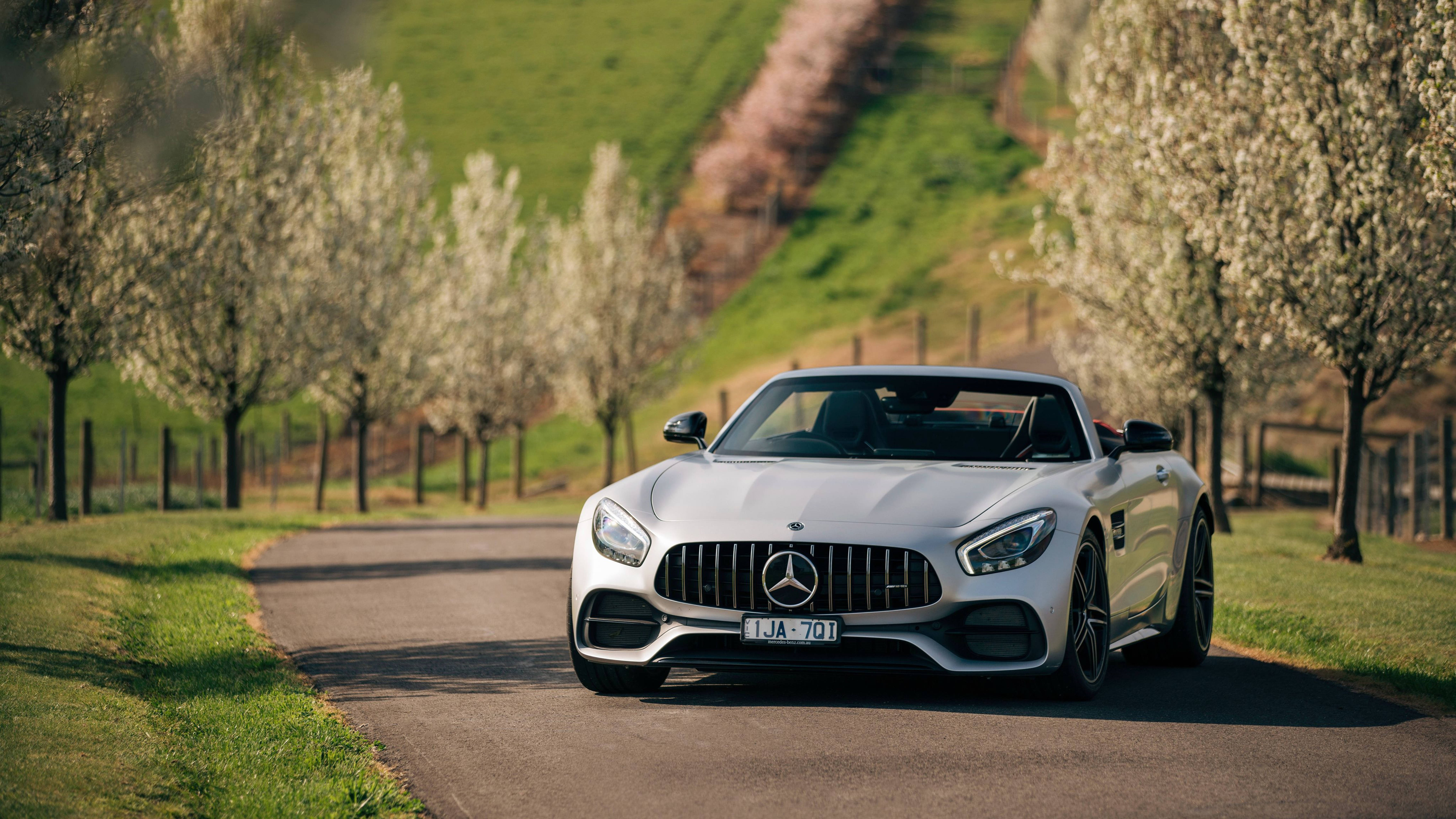 メルセデスAMG 4K 緑の木々と草 壁紙