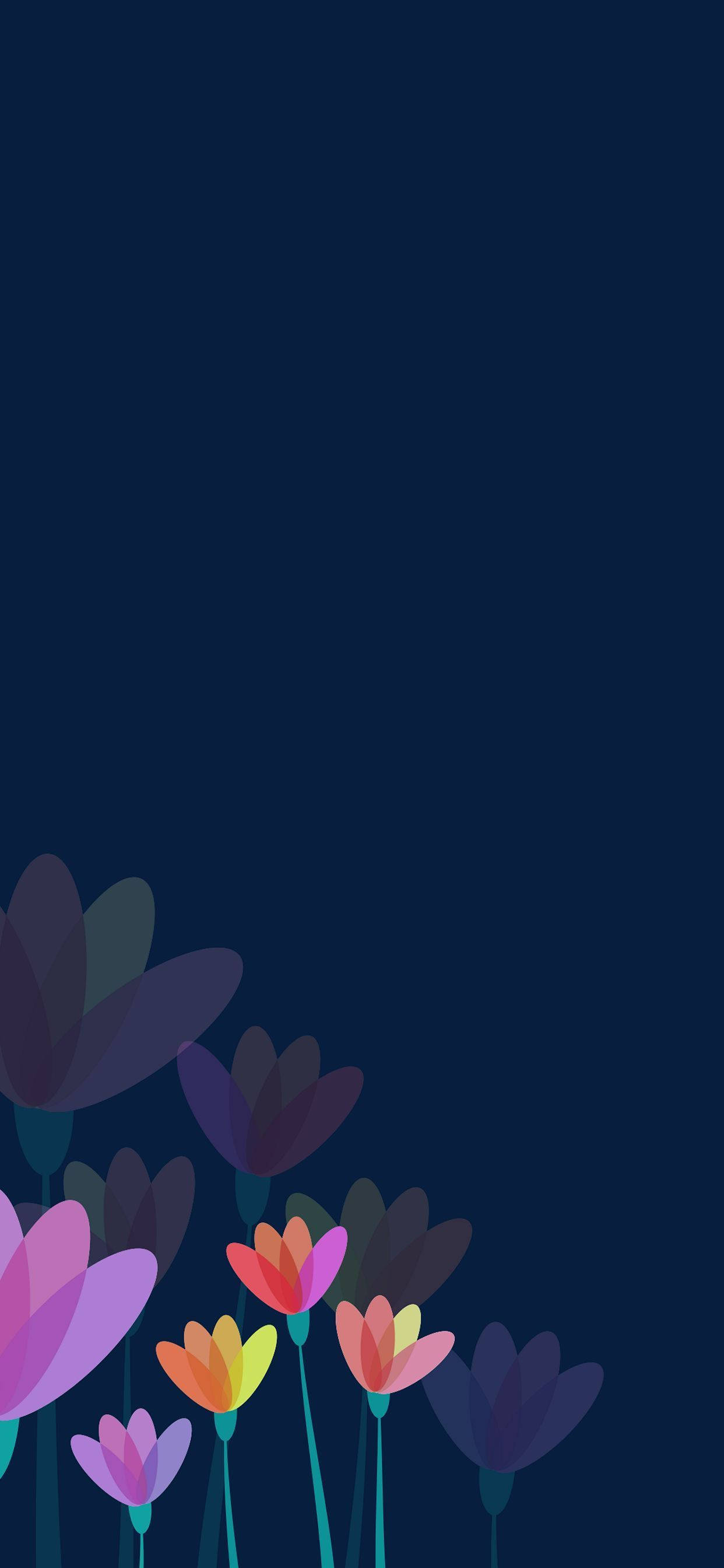 クロッカスの花 Apple 壁紙