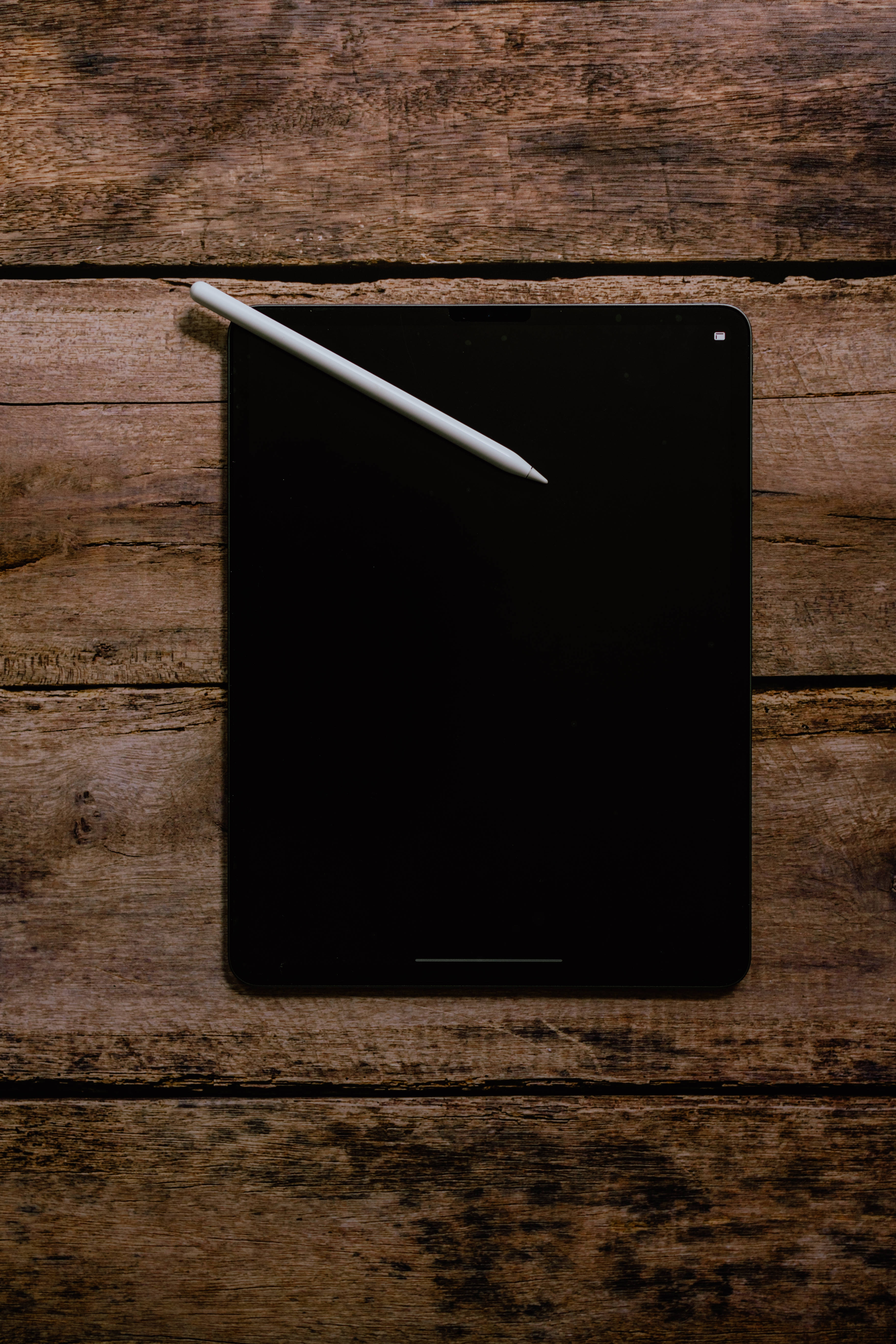 木の上のApple iPad Pro 壁紙