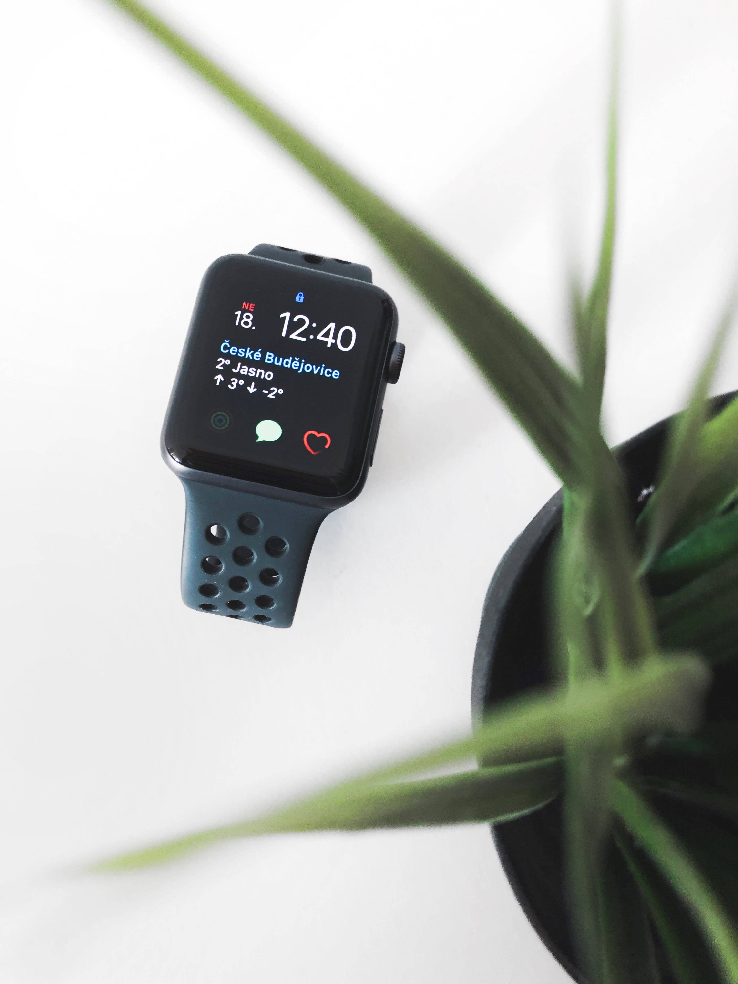 Apple Watch 美しい写真 壁紙