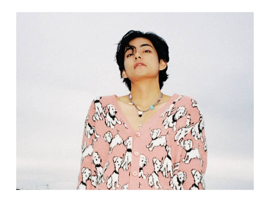 BTS V ピンクの子犬カーディガン 壁紙