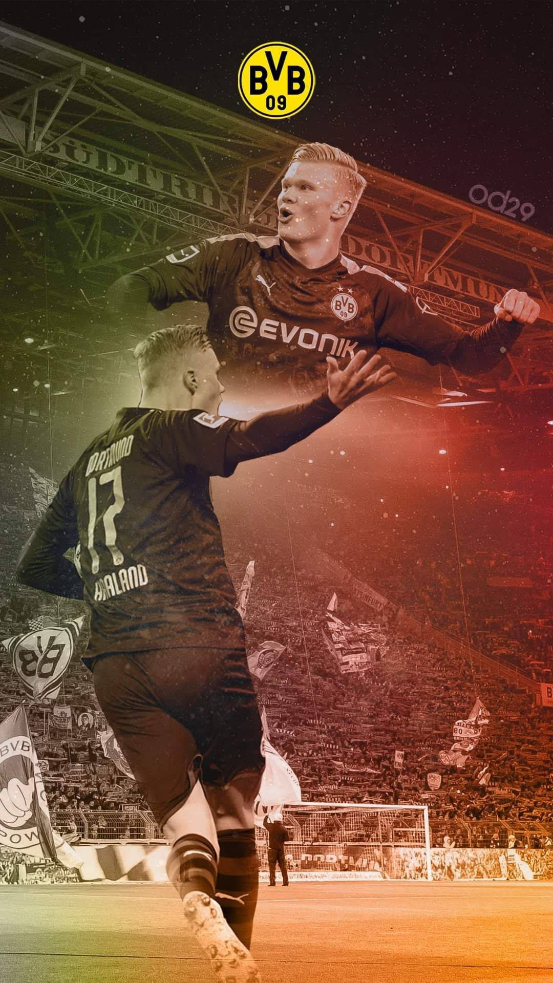 BVBストライカー アーリング・ハーランド