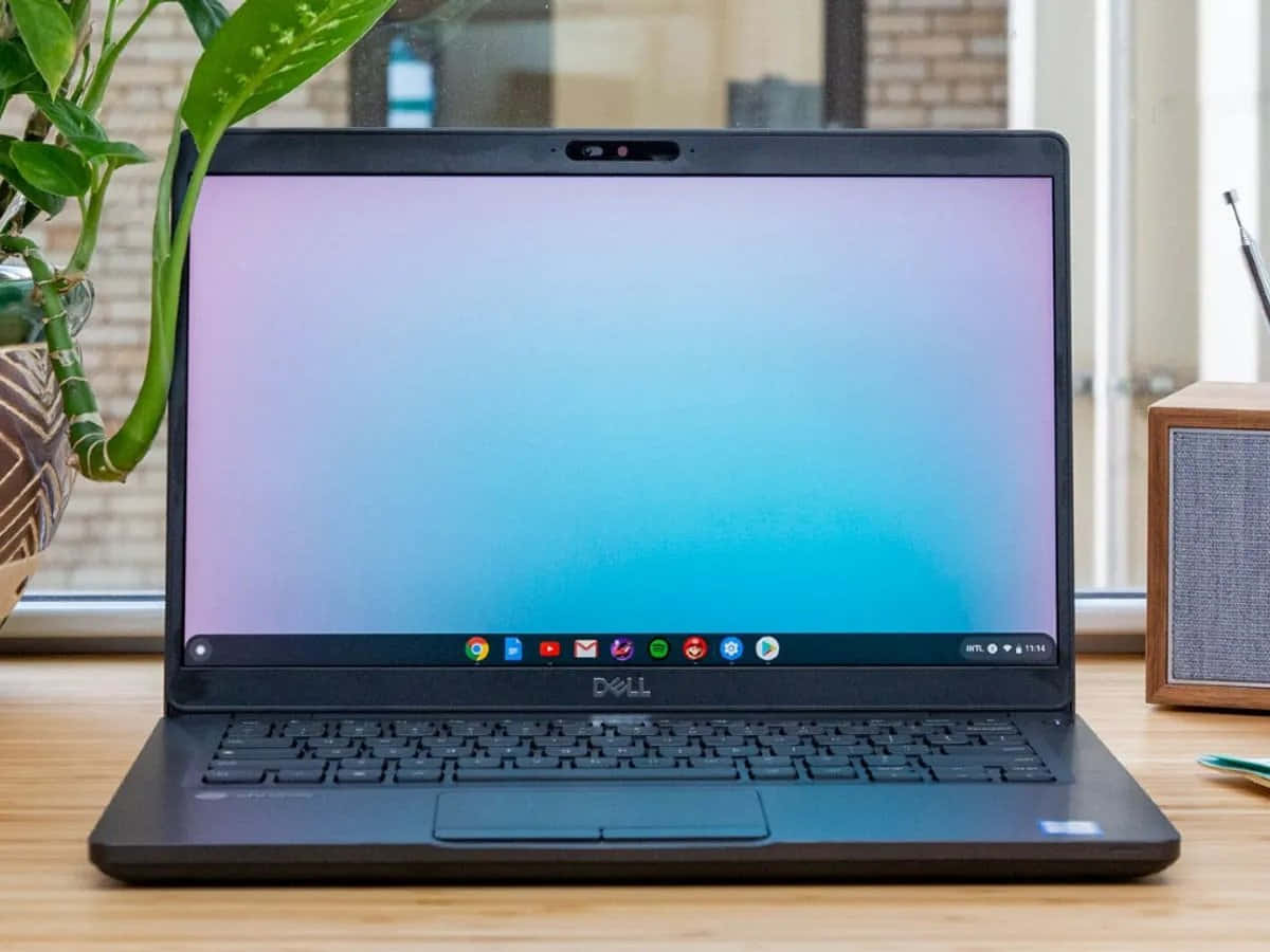 Chromebookのご紹介：手頃で洗練されたラップトップ 壁紙