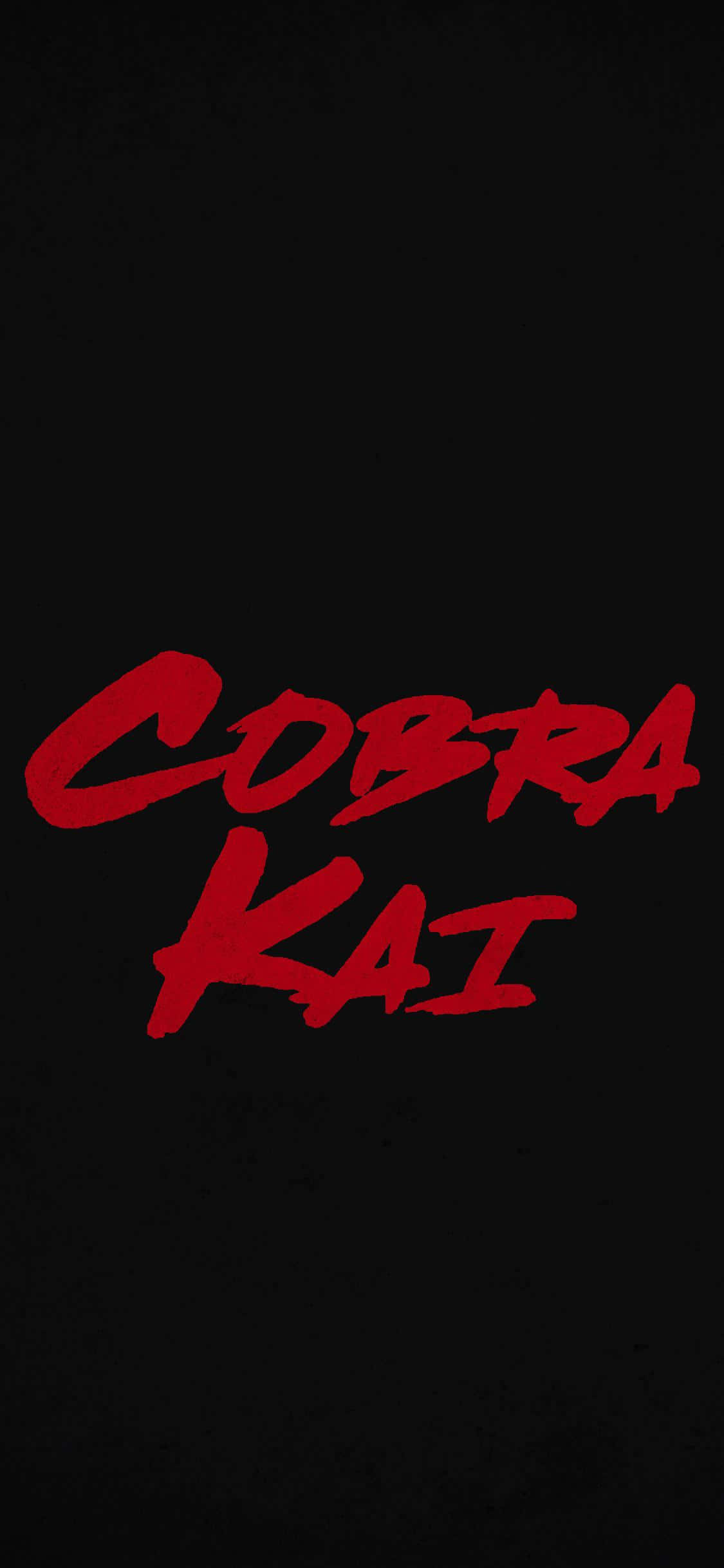 Cobra Kai iPhone XR タイトル背景 壁紙