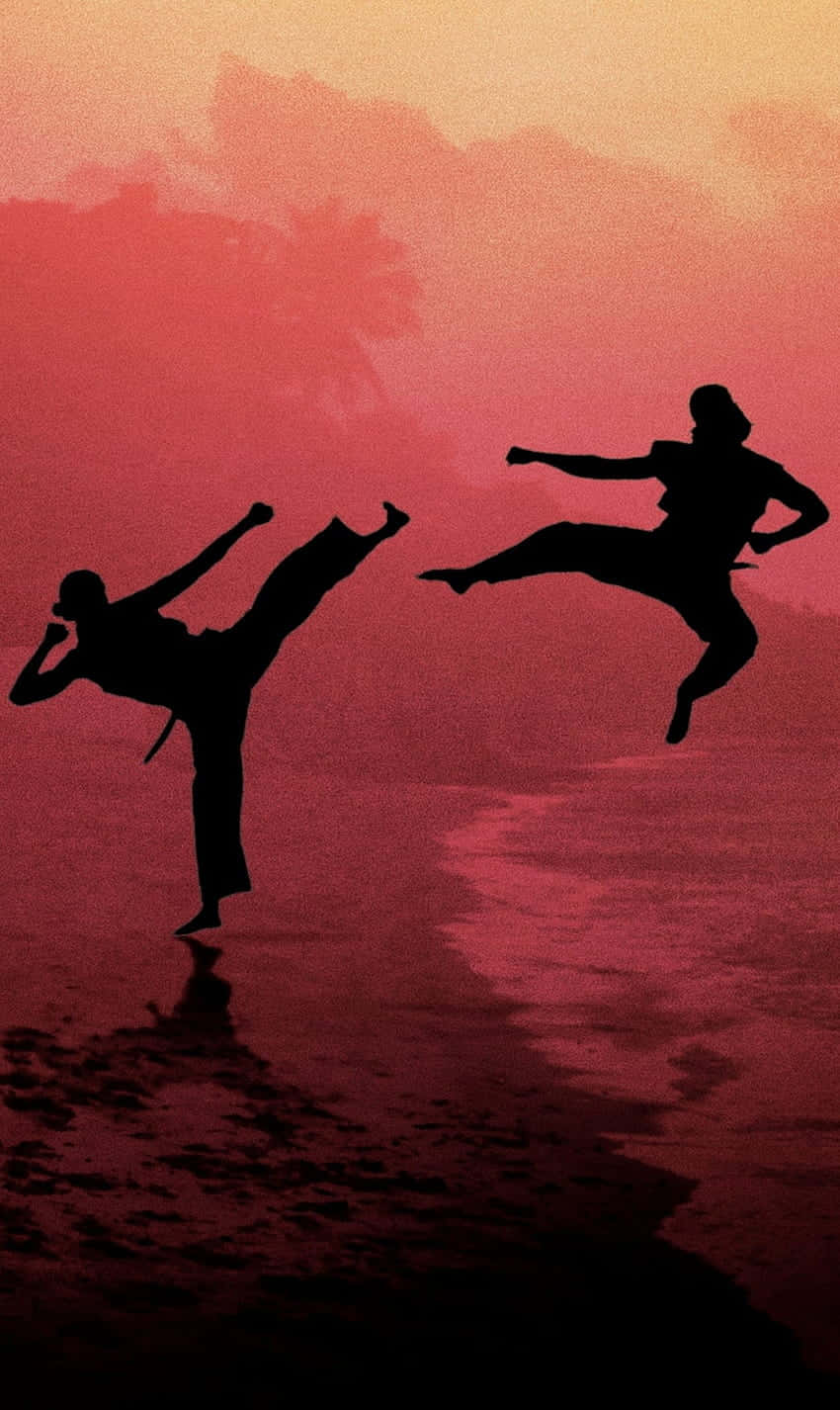 Cobra Kai iPhone XR 戦闘シルエット背景 壁紙