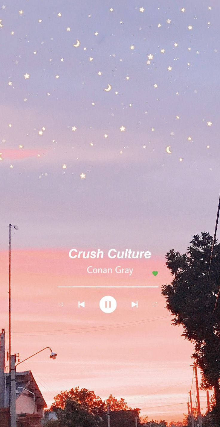 Conan Gray ミュージック・エステティック 壁紙