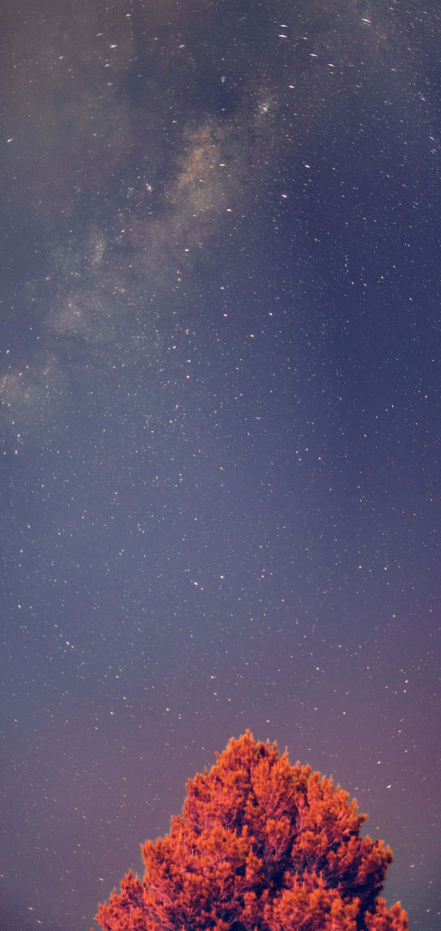 Galaxy S10 Plus 壁紙