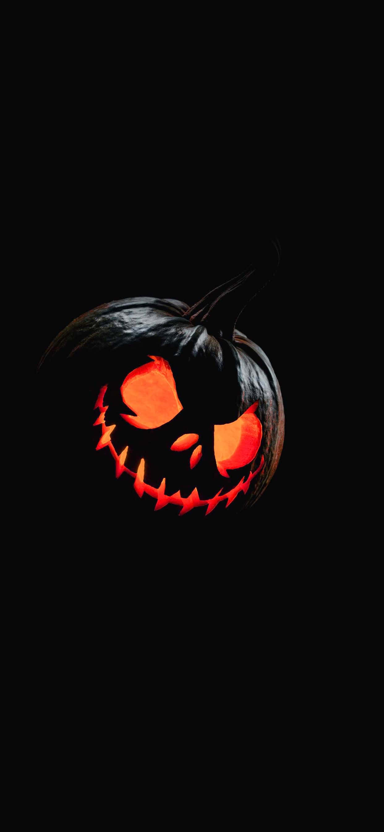 ハロウィン かぼちゃ 壁紙 HD 壁紙