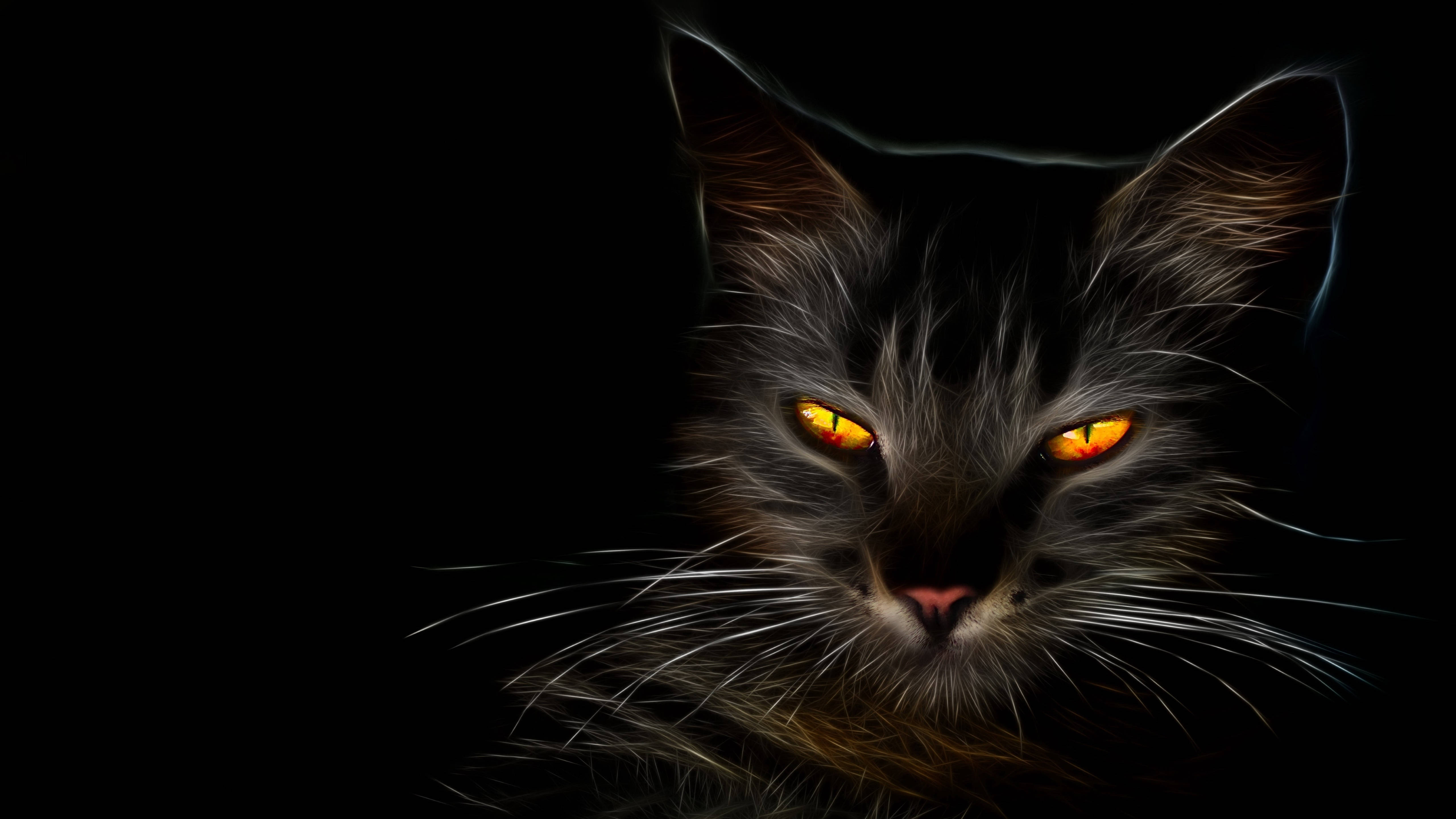 HD 黒猫 壁紙