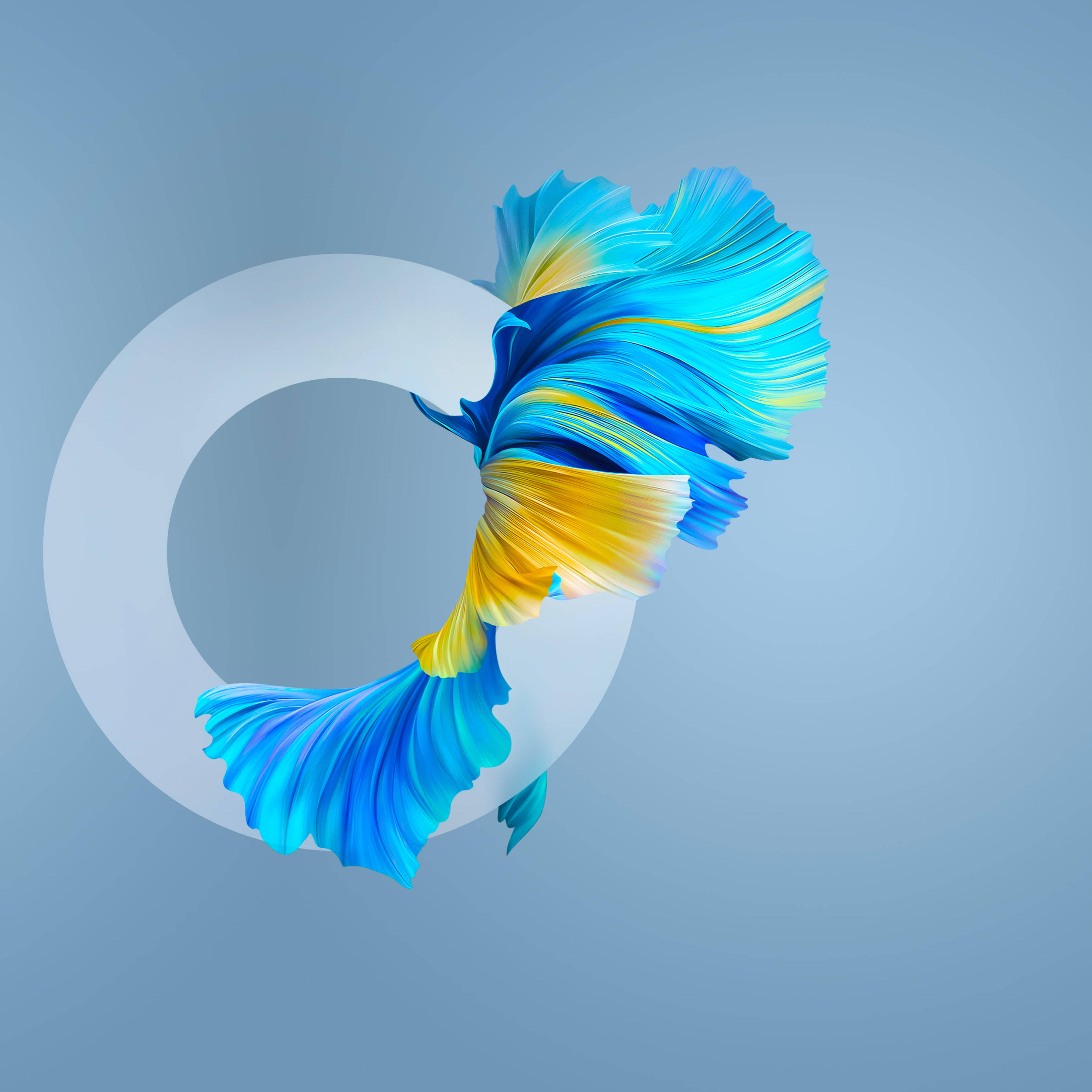 Huawei Mate 40 Pro Fish 壁紙