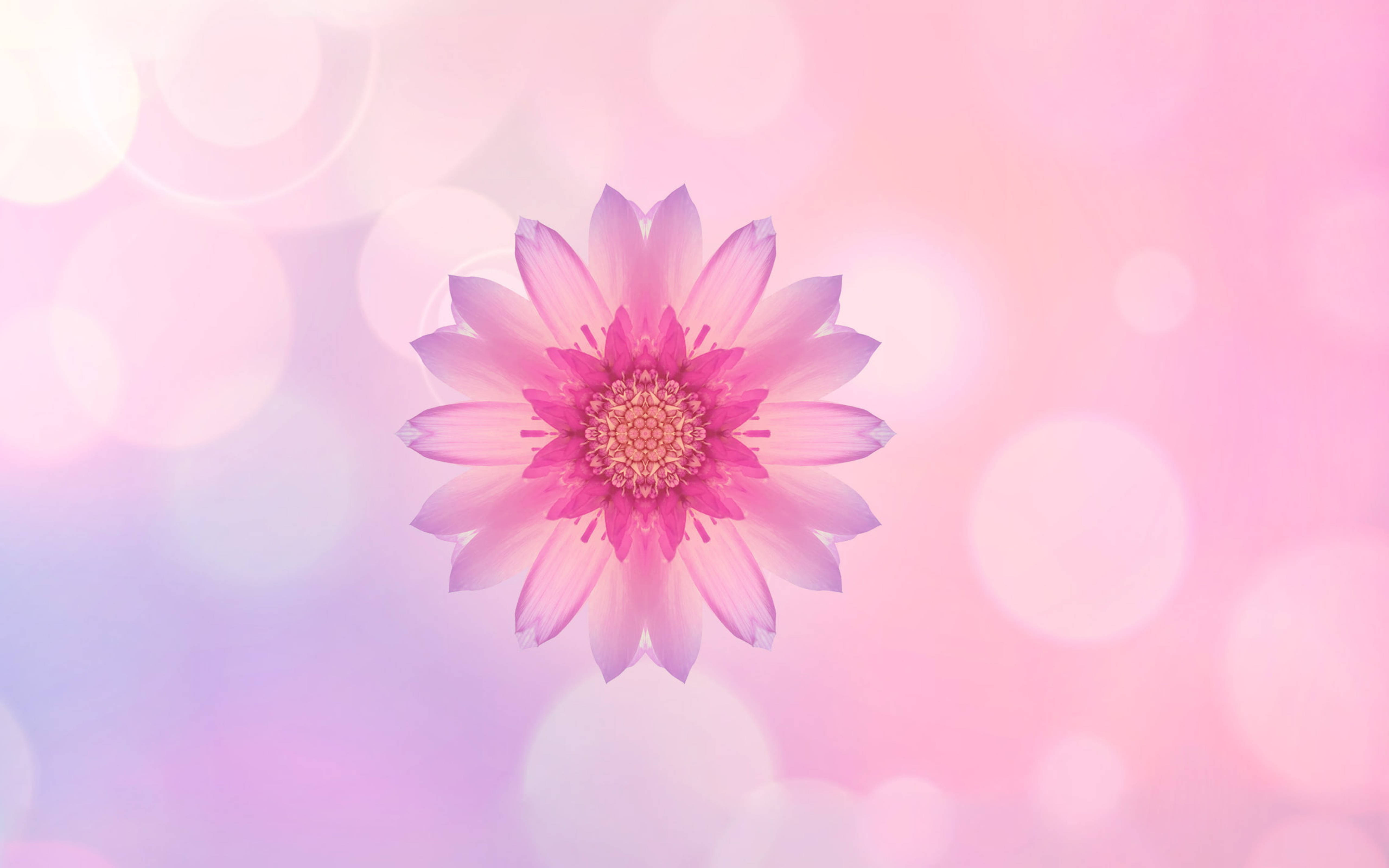 Huawei ピンクの花 壁紙