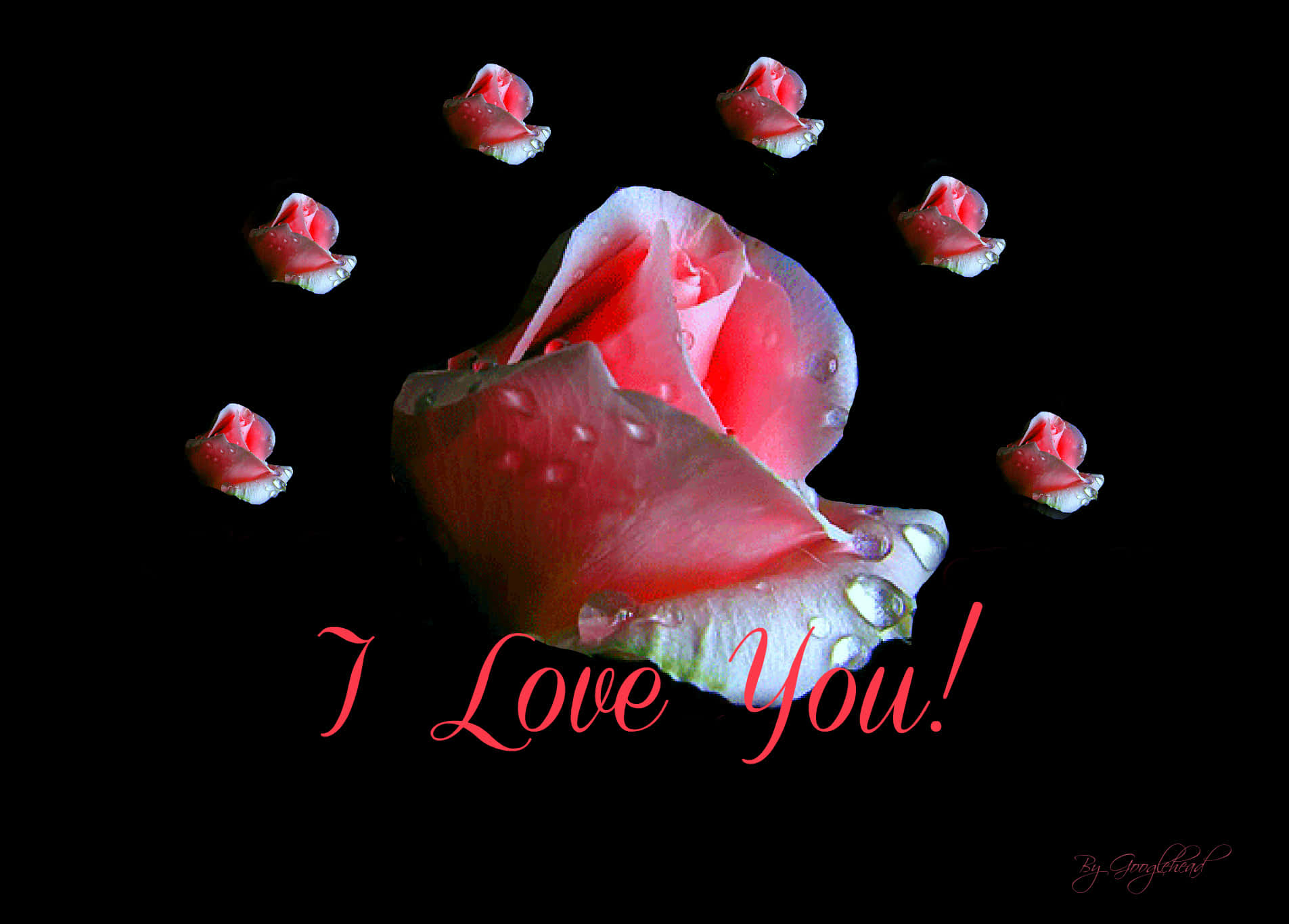 ピンクの愛の花 I Love You 画像 壁紙