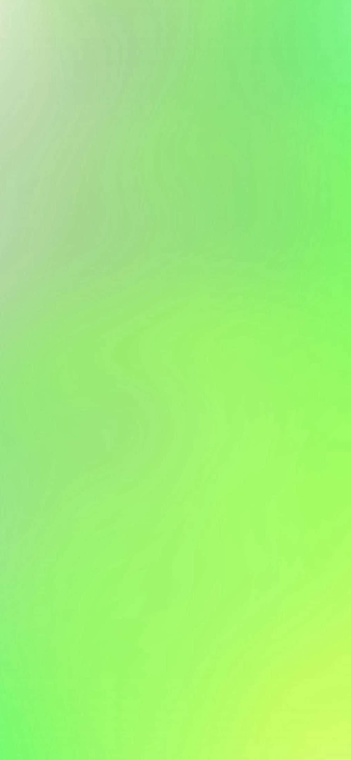 iPhone 11 リフレッシンググリーン 壁紙