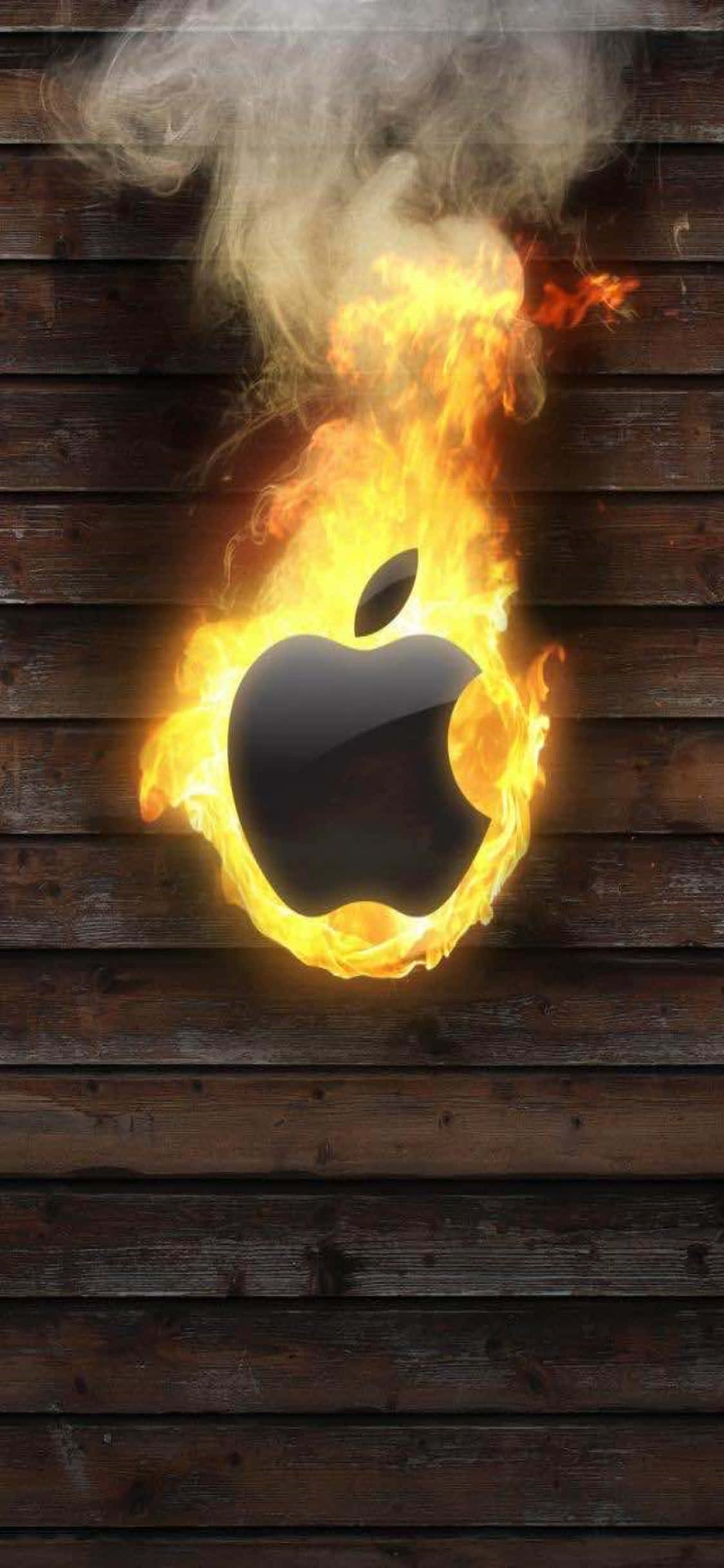 iPhone 11のデザインを際立たせる美しい画像 壁紙