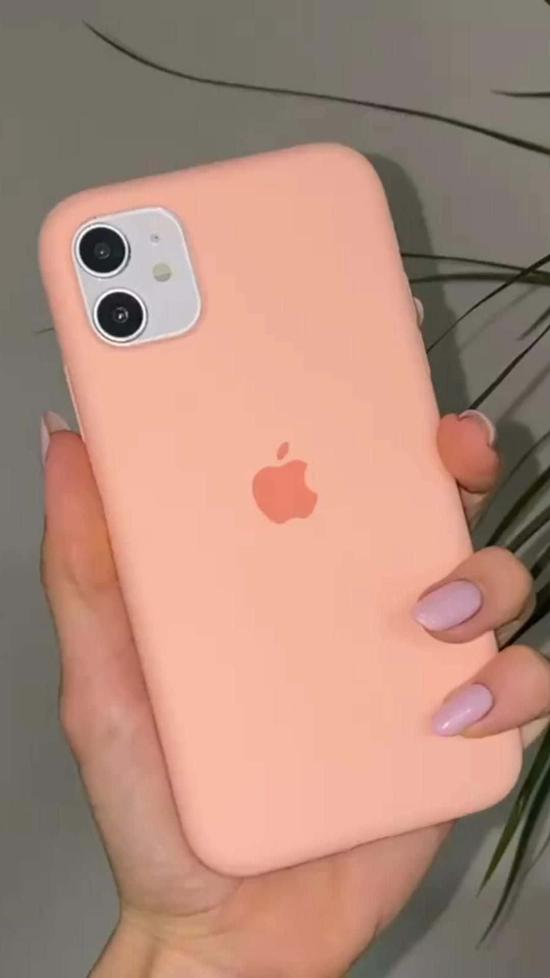 iPhone 12 画像 壁紙