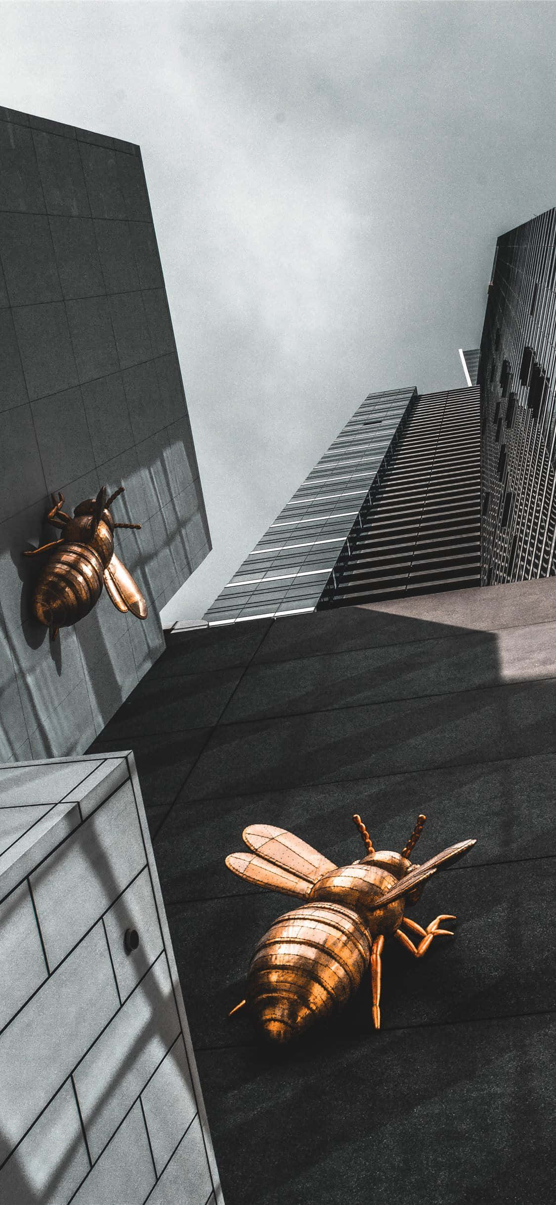 ビルに張り付く蜂 iPhone 壁紙