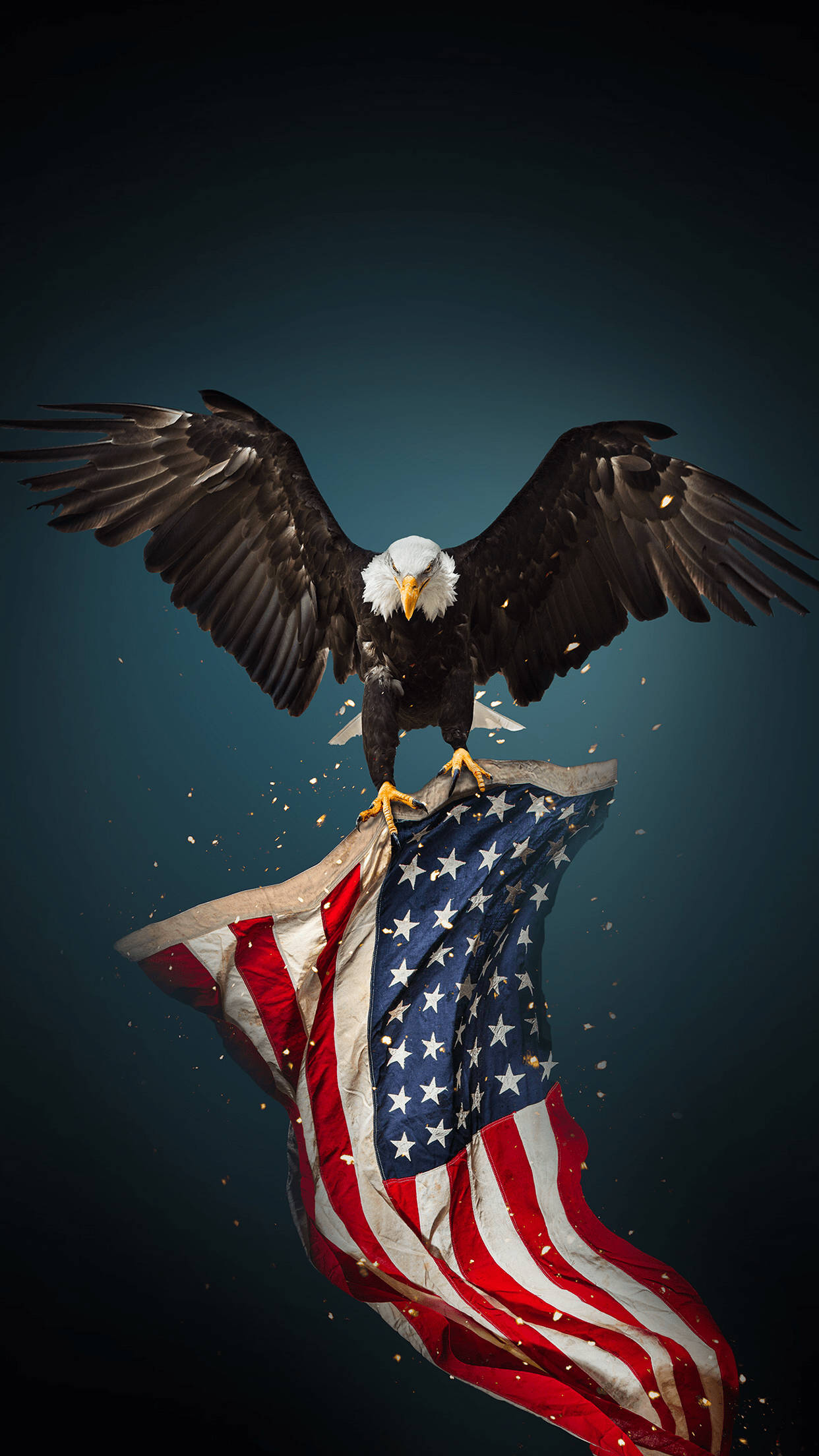 ハクトウワシ アメリカ国旗 クール iPhone 壁紙