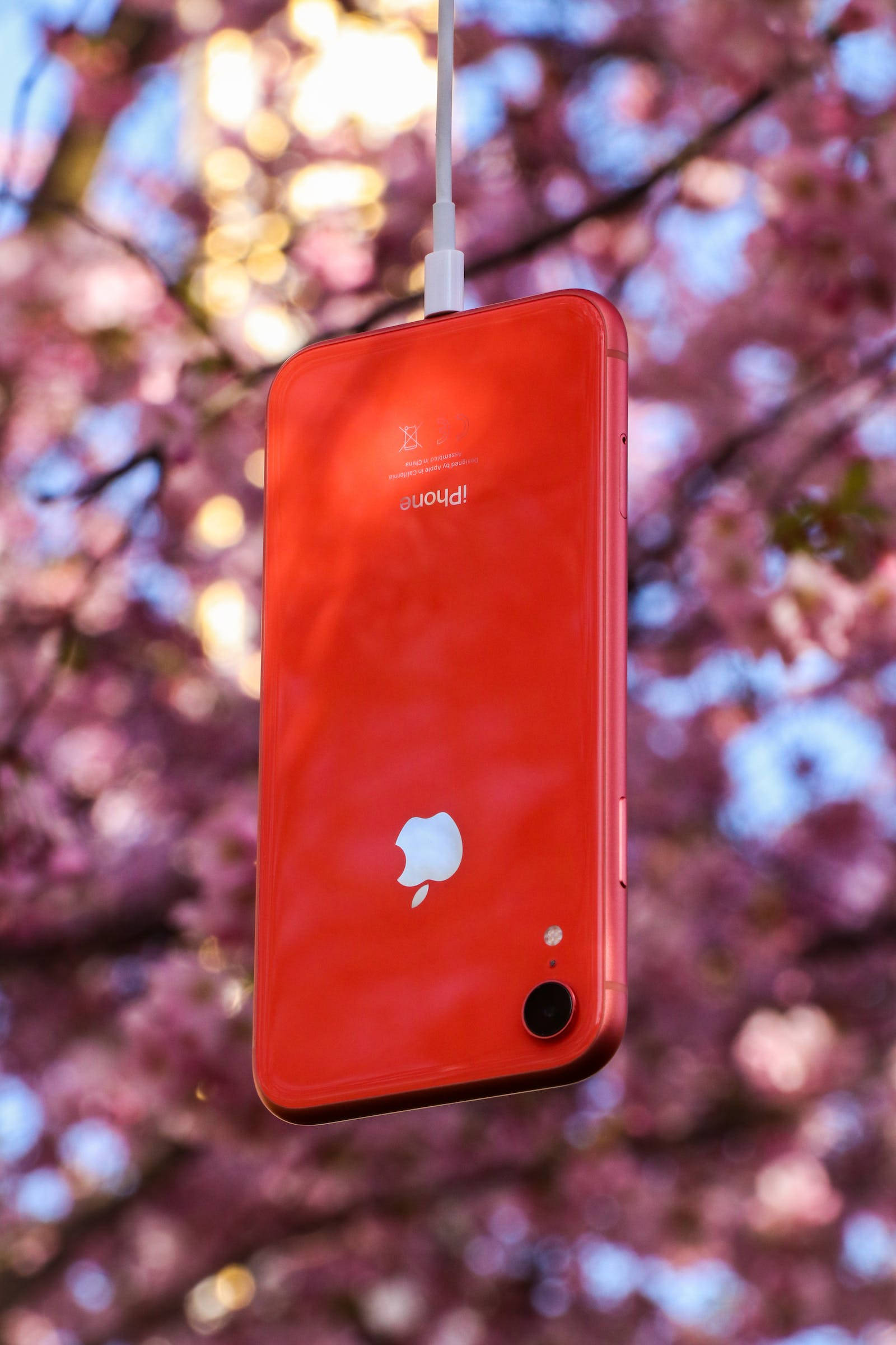 自然のiPhoneレッド 壁紙
