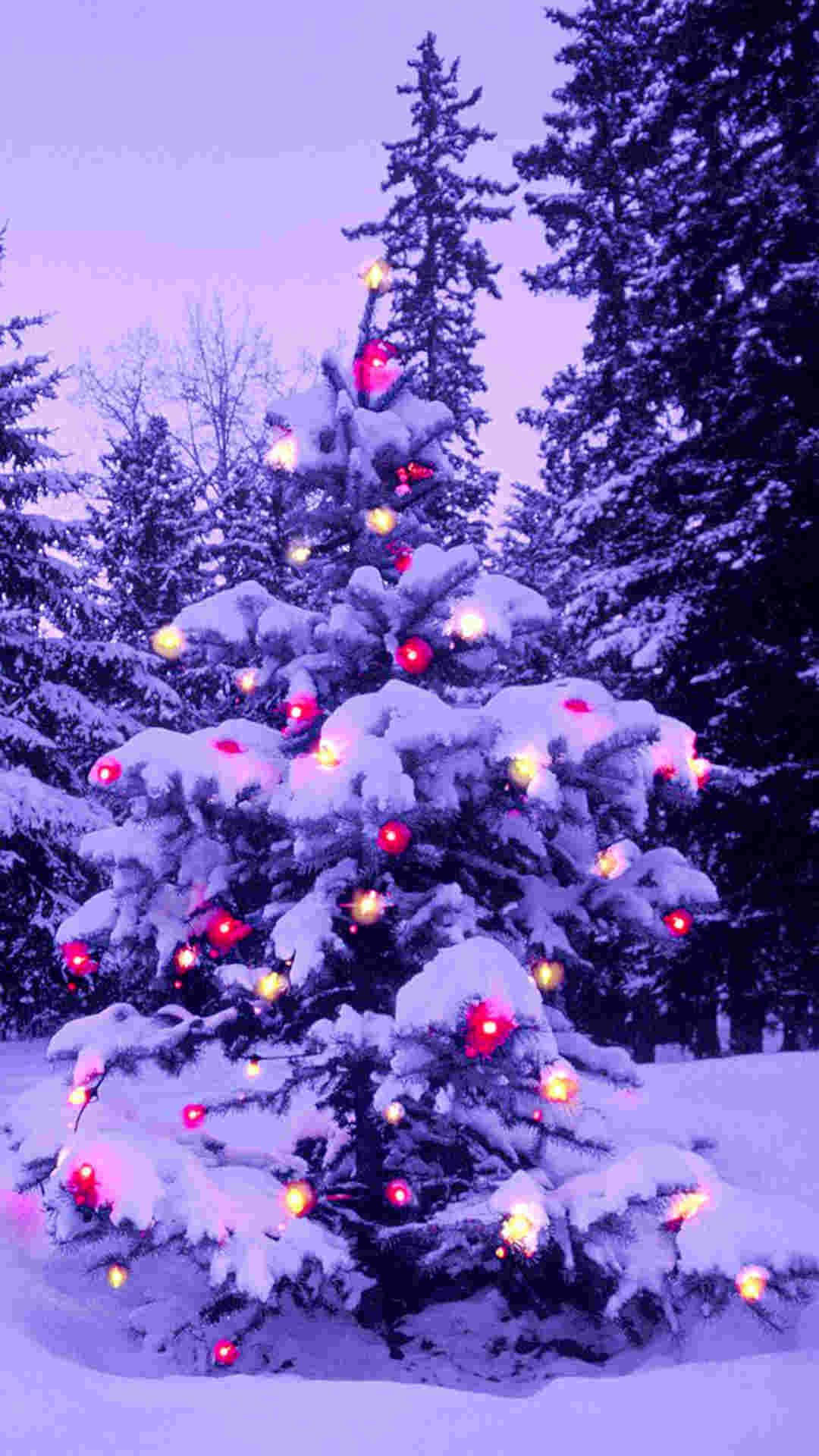 パープルパインクリスマスiPhone 壁紙