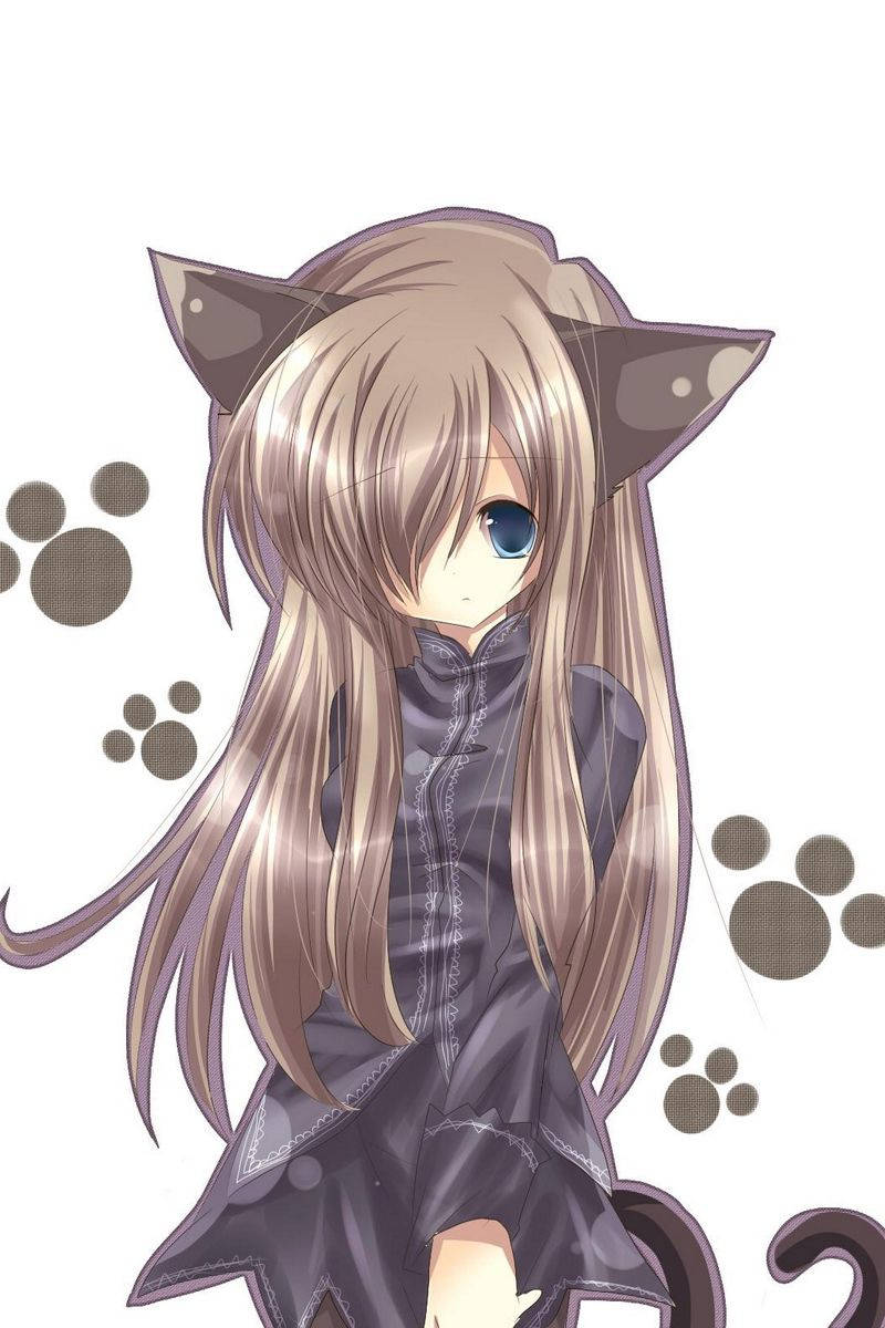 茶色い猫の可愛いアニメ少女 iPhone 壁紙