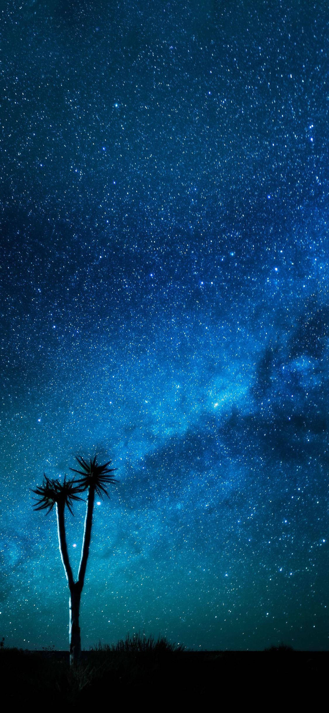 星空の青いiPhone 壁紙