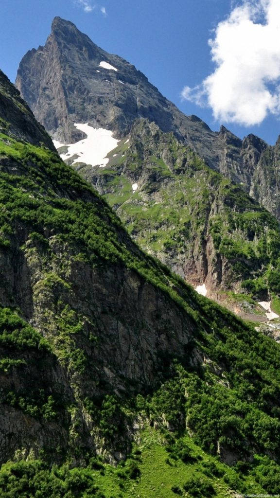 山の森の自然iPhone壁紙 壁紙