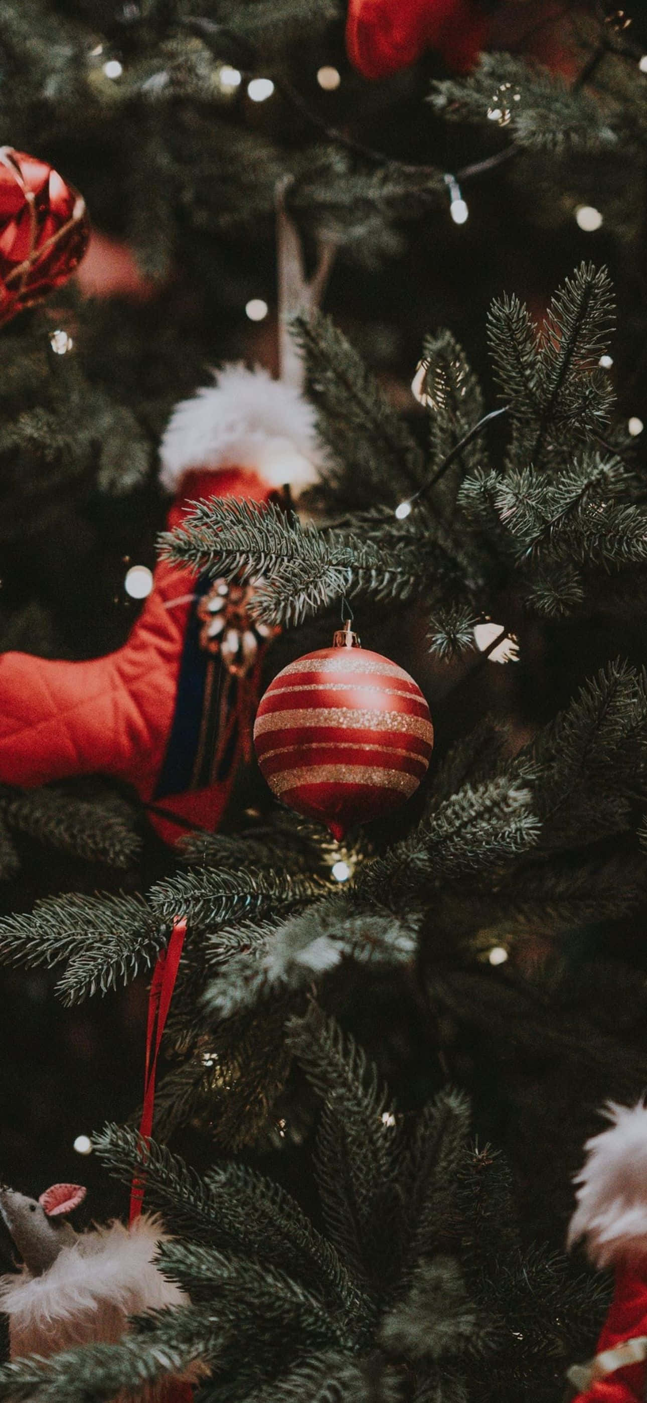 この美しくお祭り気分のiPhone背景で、クリスマスシーズンを祝おう 壁紙