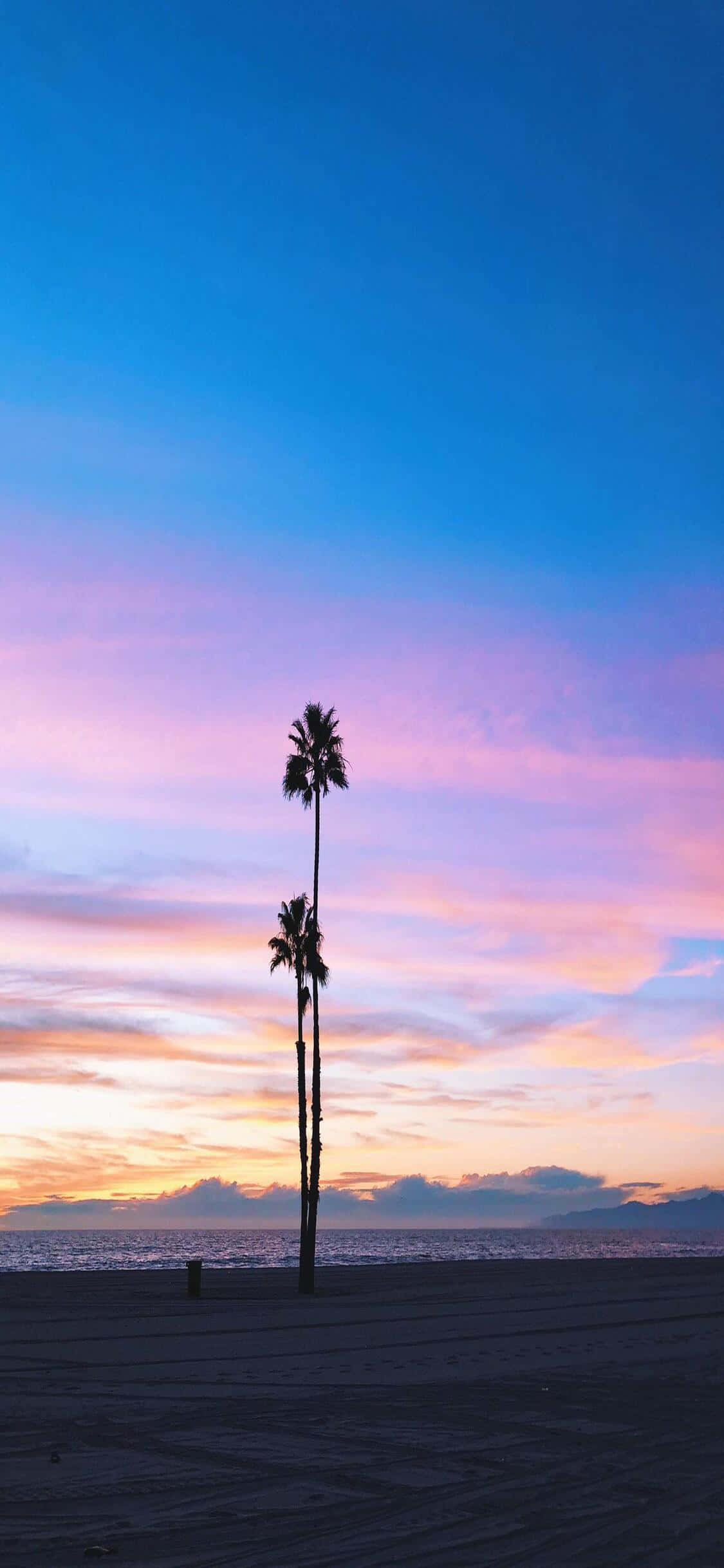 iPhone X Californiaでゴールデンステートの生活を楽しむ 壁紙