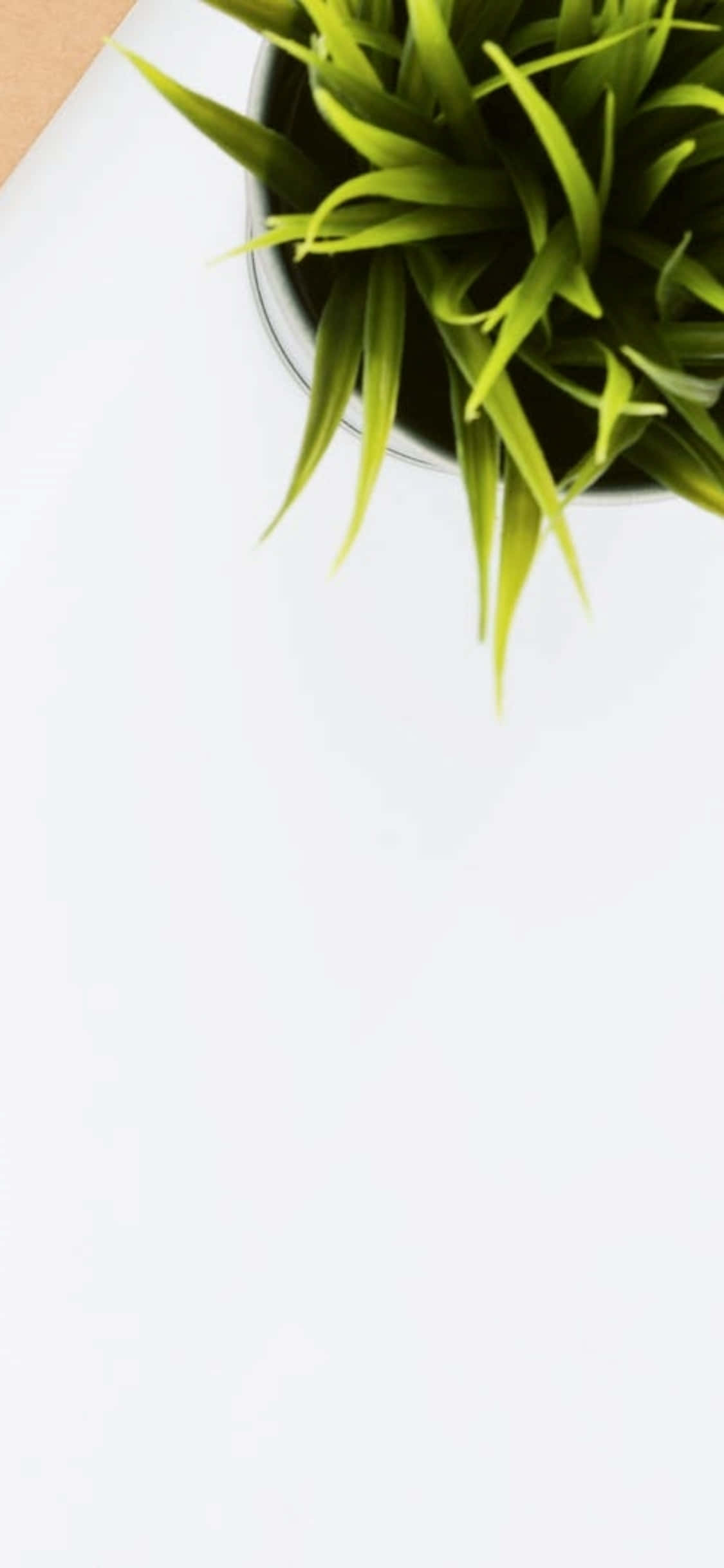 iPhone X デスク背景 観葉植物 壁紙