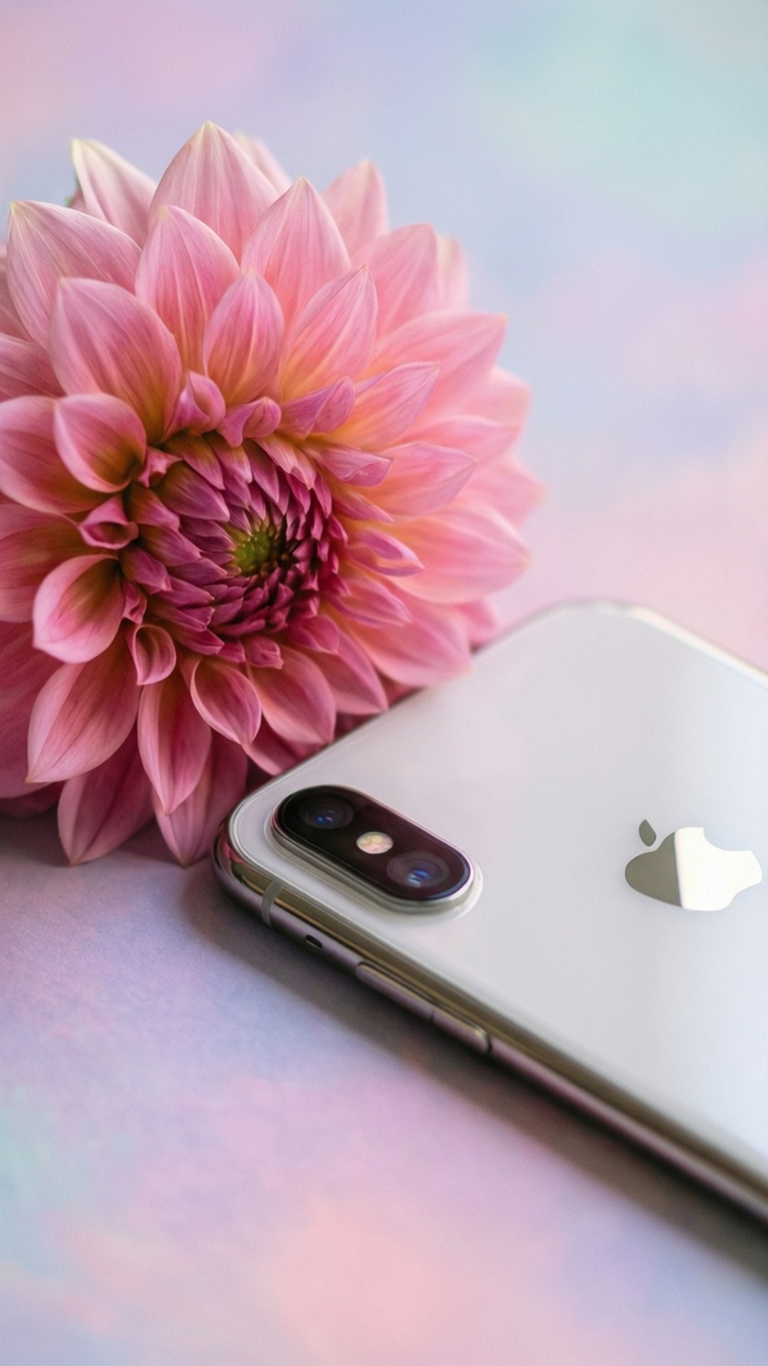 花の優雅さ iPhone XR 壁紙