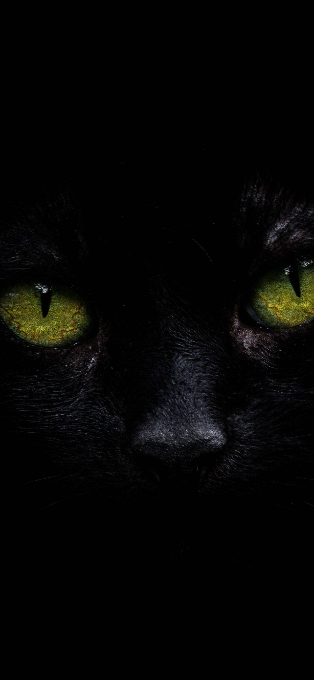 iPhone XS Max OLED 黒猫 壁紙
