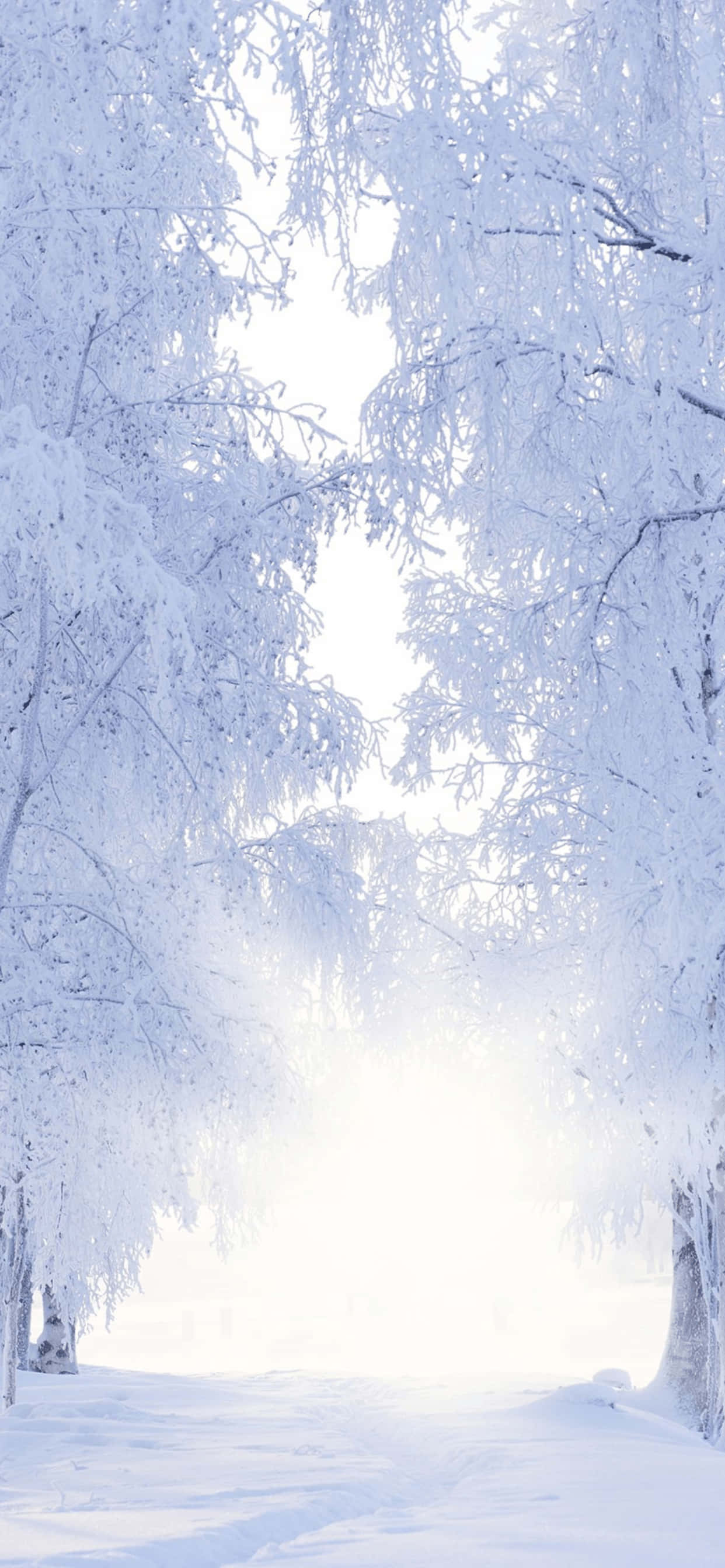 雪道 iPhone XS Max 冬の背景 壁紙