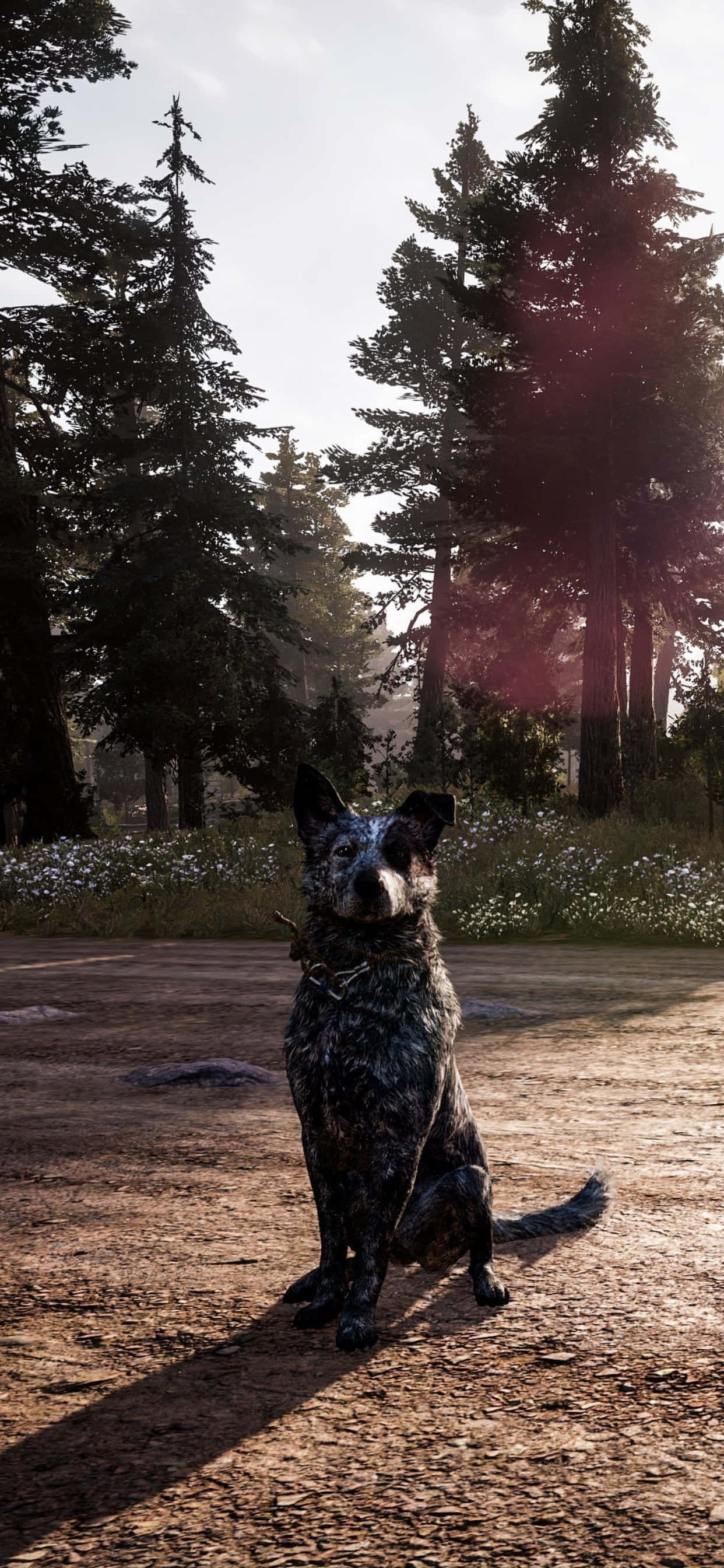 iPhone Xs Max で Far Cry 5 の没入感あふれる世界を体験 壁紙