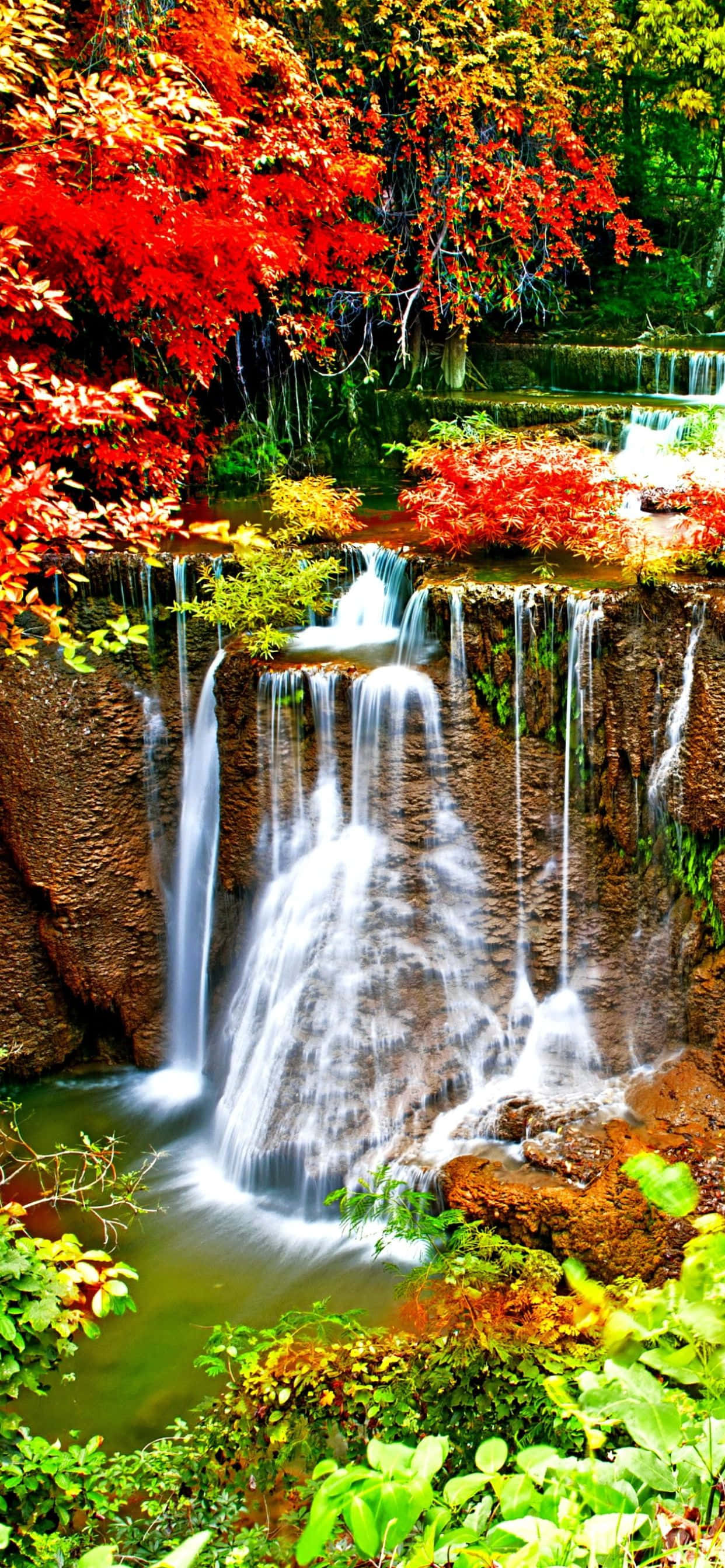 Enjoy the vibrant colors of fall with the iPhone Xs Max 壁紙