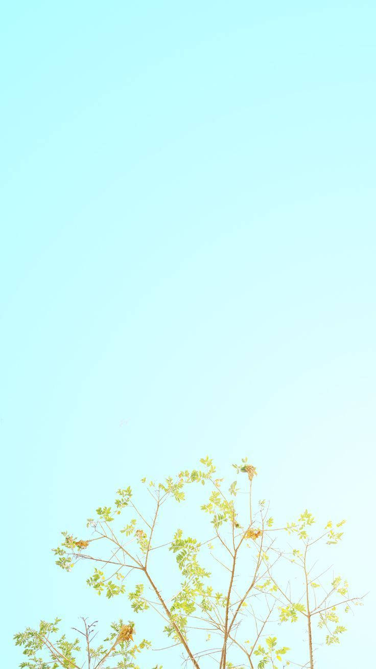 ライトブルーパステルiPhone 壁紙