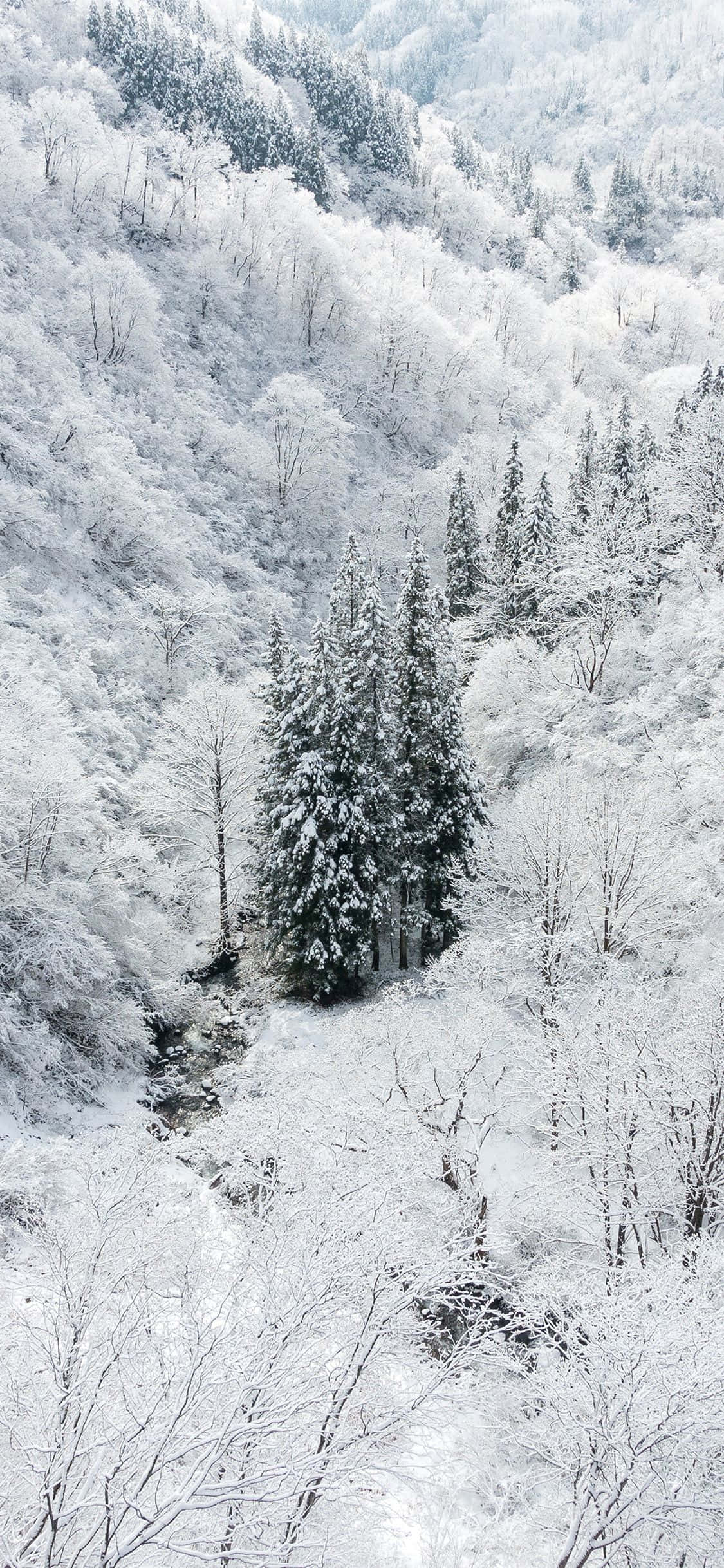 雪のiPhoneで冬を楽しもう 壁紙
