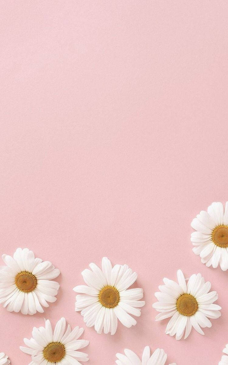 パステルピンクの花 iPhone壁紙 壁紙