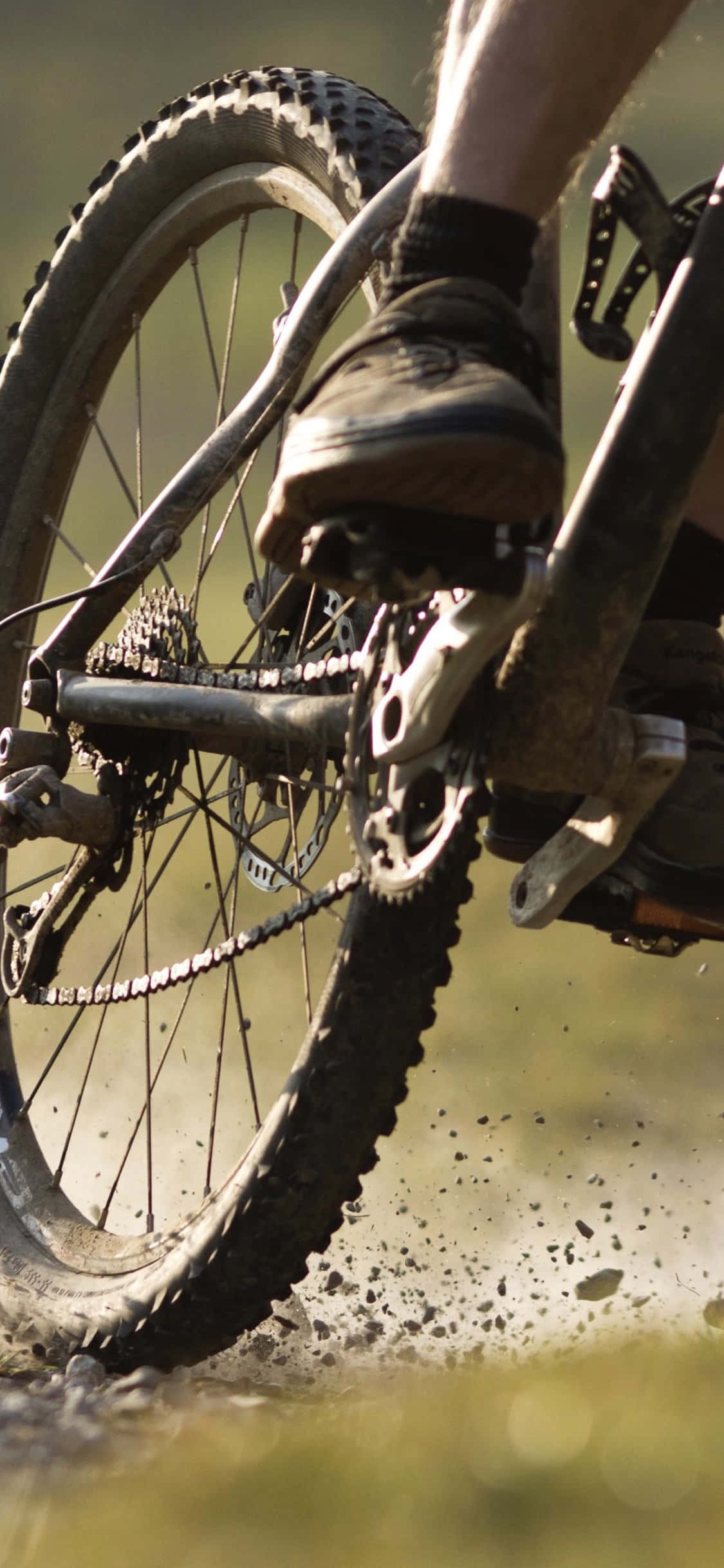 iPhoneでアウトドアマウンテンバイクのスリルを楽しもう。 壁紙
