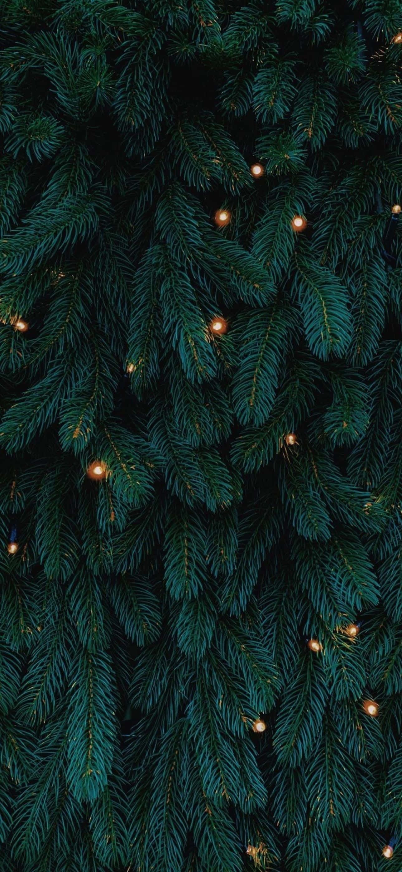 iPhoneをクリスマス仕様に飾ろう！ 壁紙