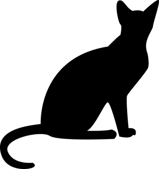 ブラックスクリーンプレースホルダー.JPG 壁紙